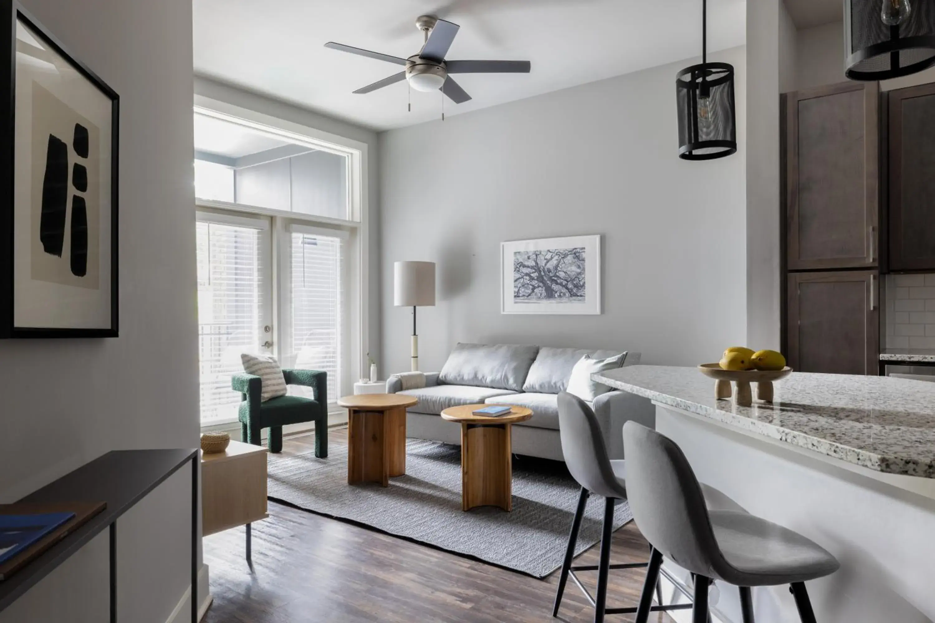 One-Bedroom Apartment in Mint House Greenville - West End One-Bedroom Apartment in Mint House Greenville - West End