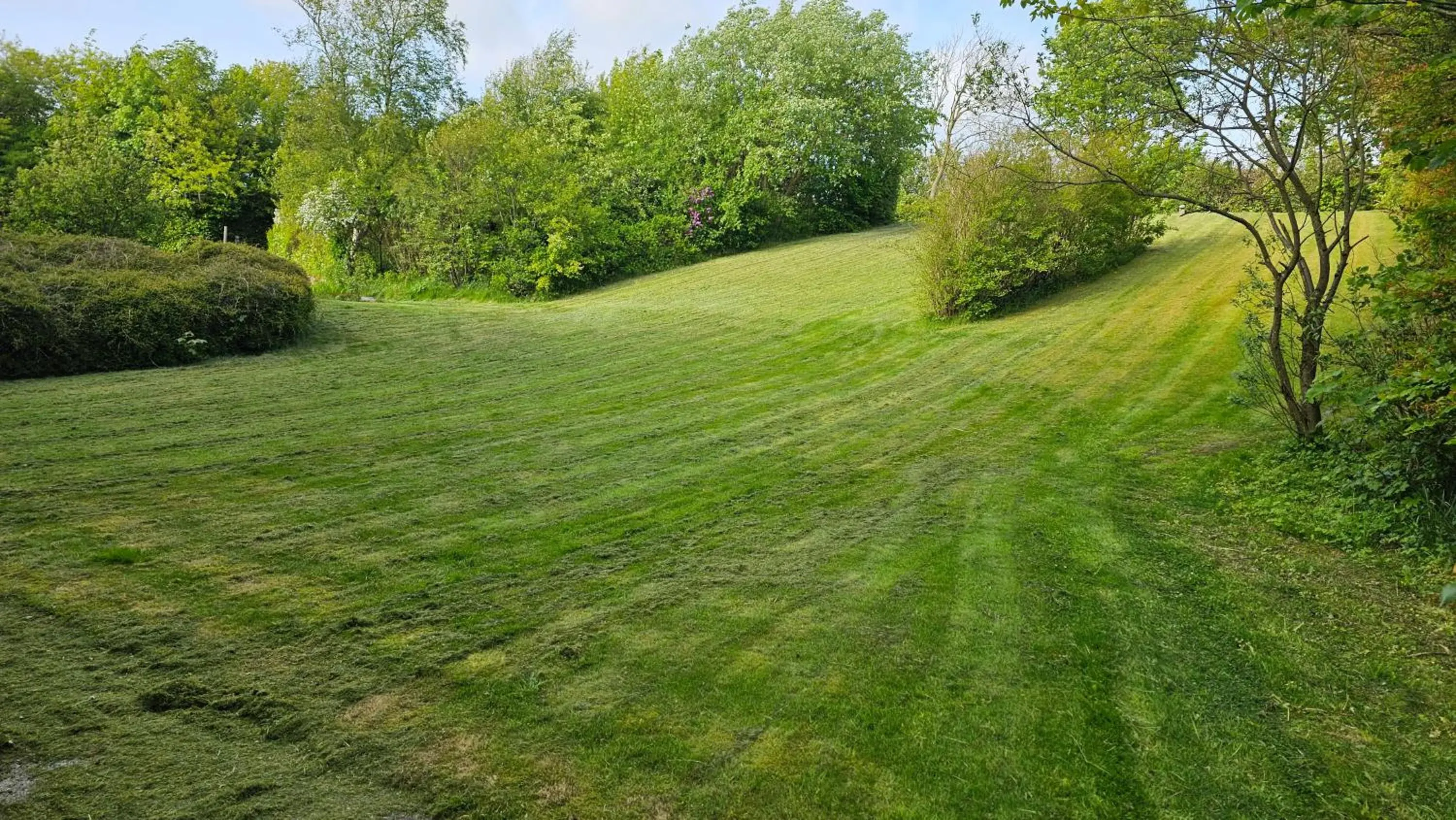 Deluxe Double Room in Gudum Park Deluxe Double Room in Gudum Park