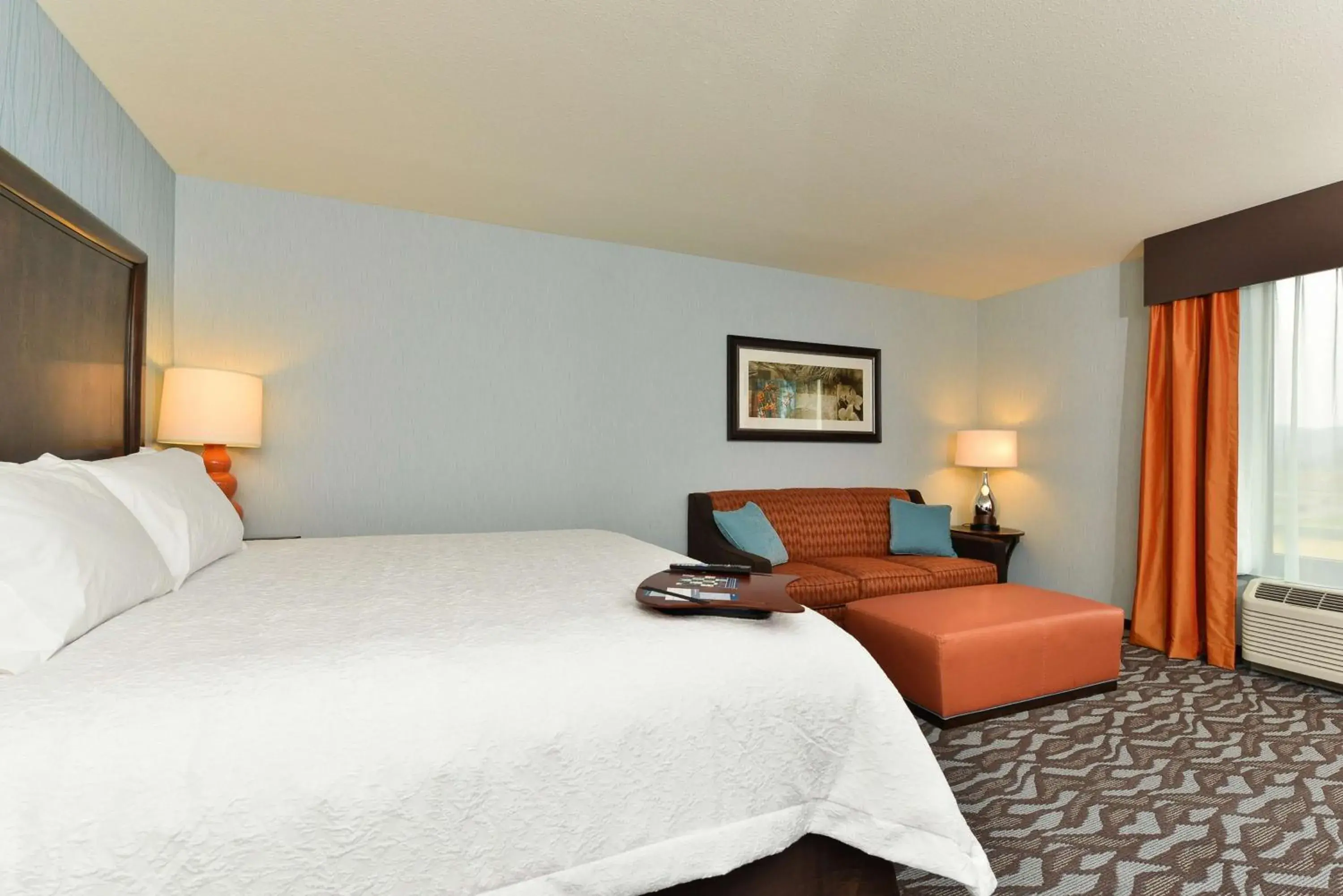 King Room with Sofa Bed - Hearing Accessible/Non-Smoking in Hampton Inn Corning/Painted Post King Room with Sofa Bed - Hearing Accessible/Non-Smoking in Hampton Inn Corning/Painted Post