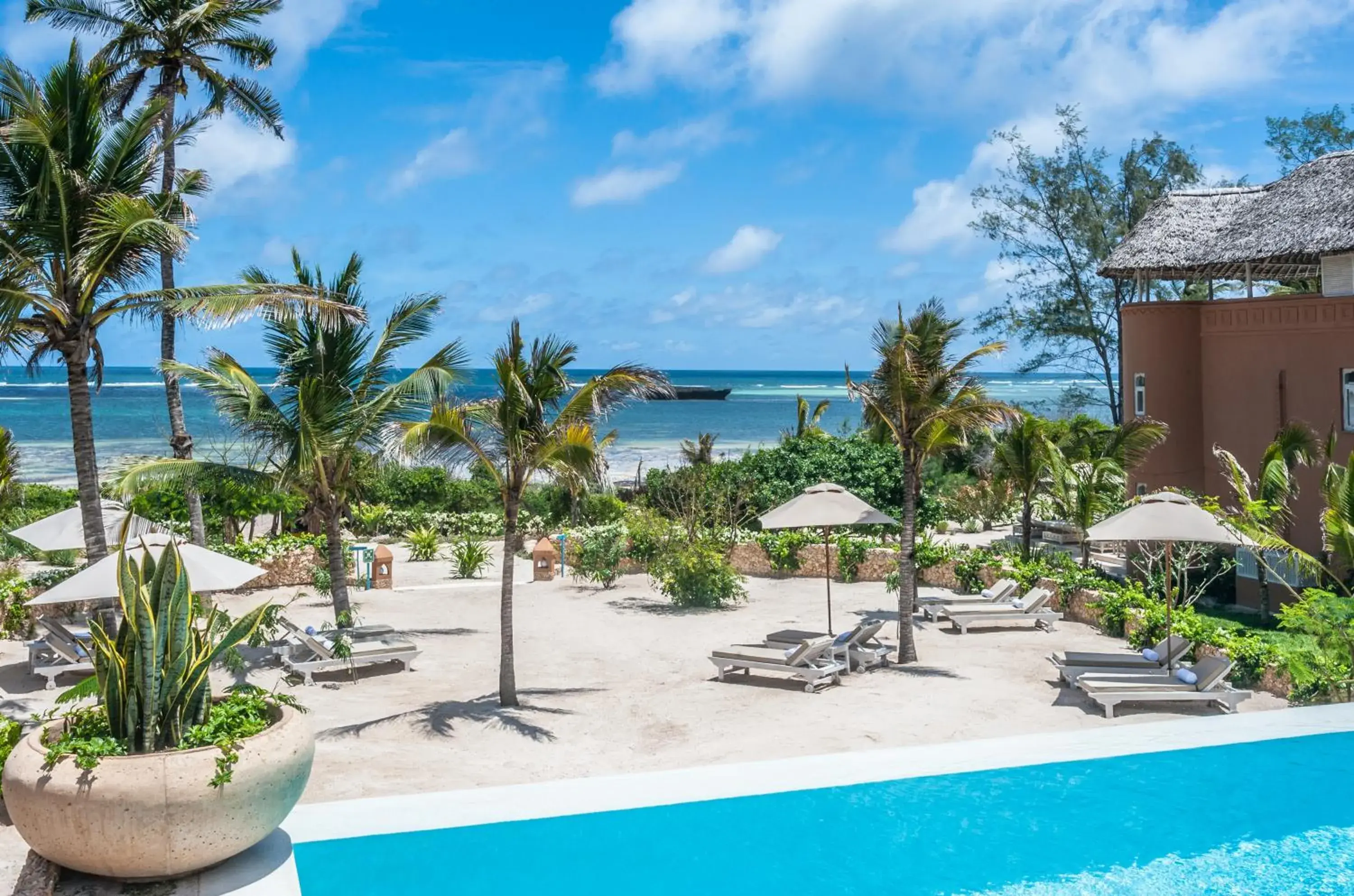 Medina Palms Medina Palms