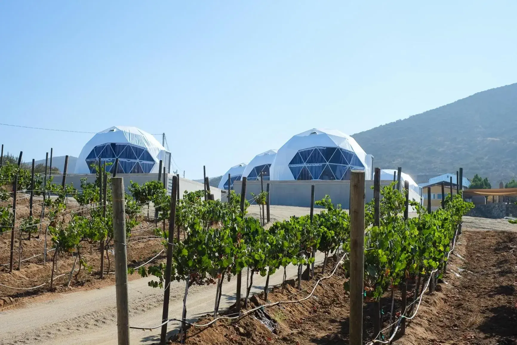 Suite in Cúpulas Del Valle by Villa De La Rosa Suite in Cúpulas Del Valle by Villa De La Rosa