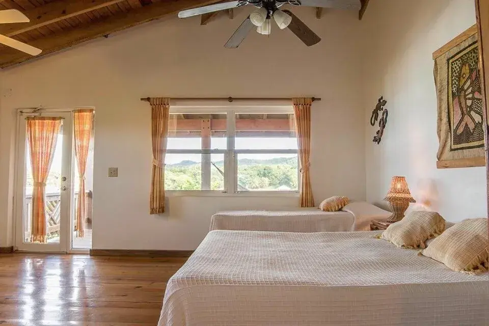 Deluxe Studio with Sea View - single occupancy in Hotel Posada Las Orquídeas,West End Deluxe Studio with Sea View - single occupancy in Hotel Posada Las Orquídeas,West End