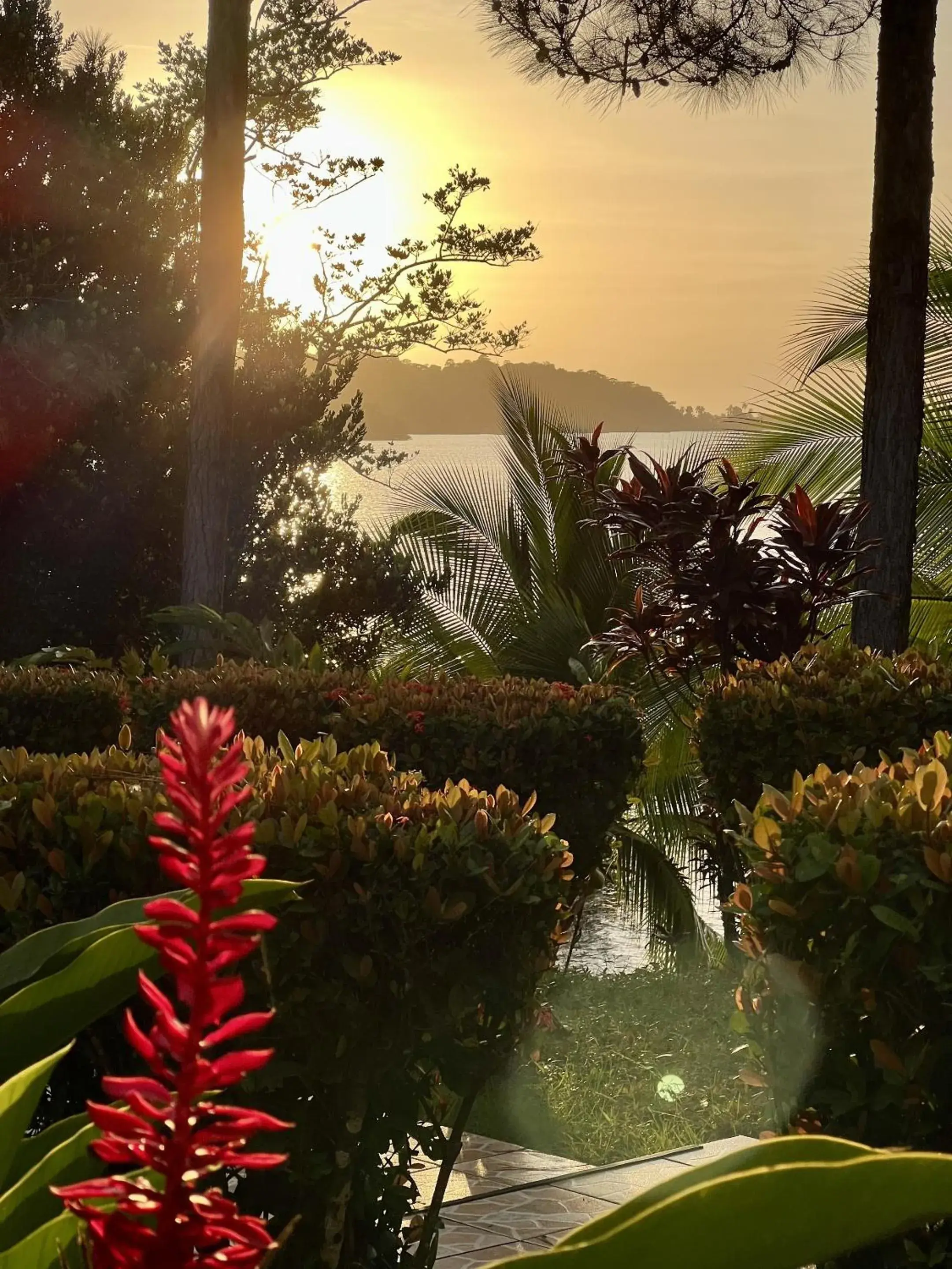 Apartment with Sea View - single occupancy in Akwaba Lodge Apartment with Sea View - single occupancy in Akwaba Lodge