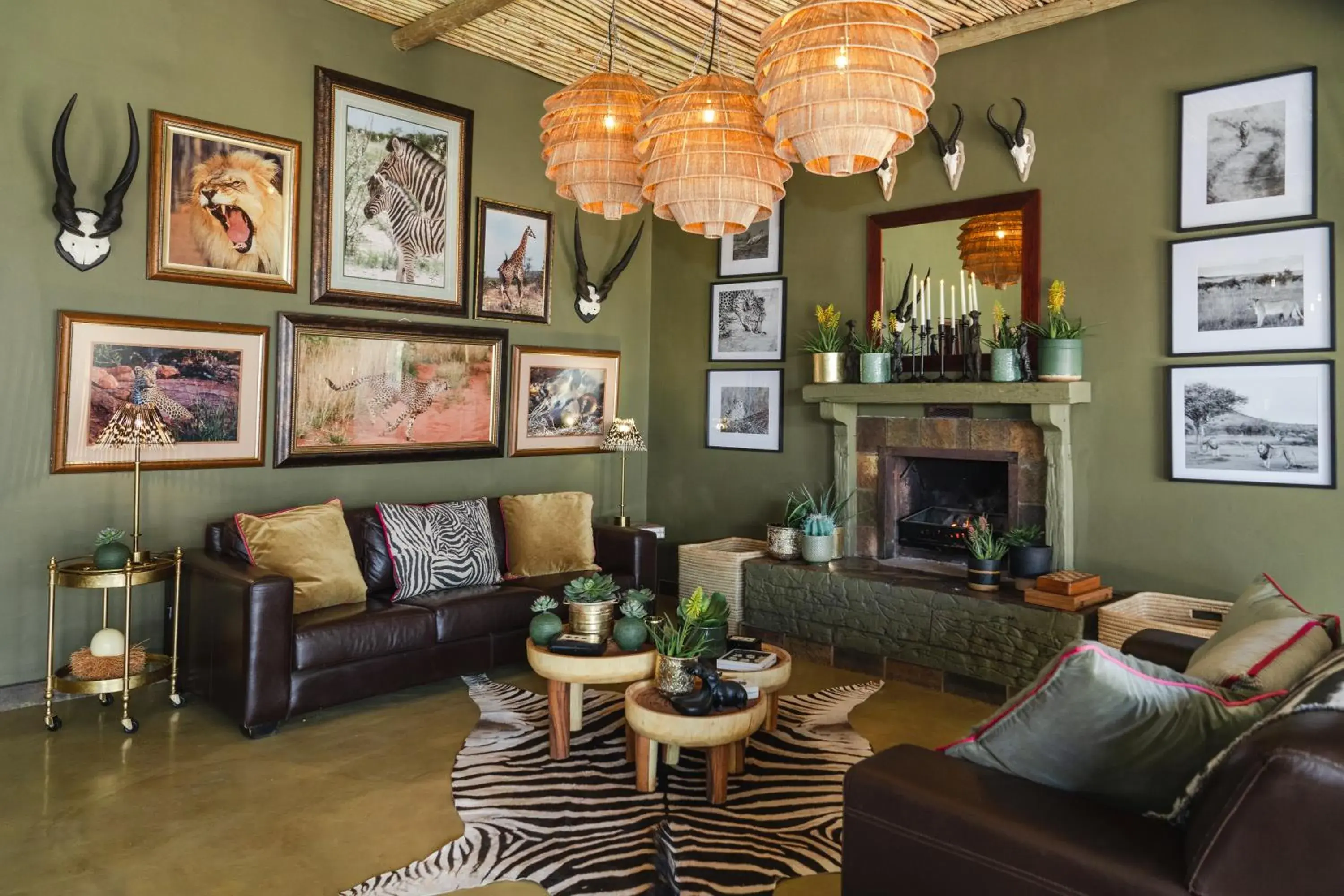 Last Word Madikwe Last Word Madikwe