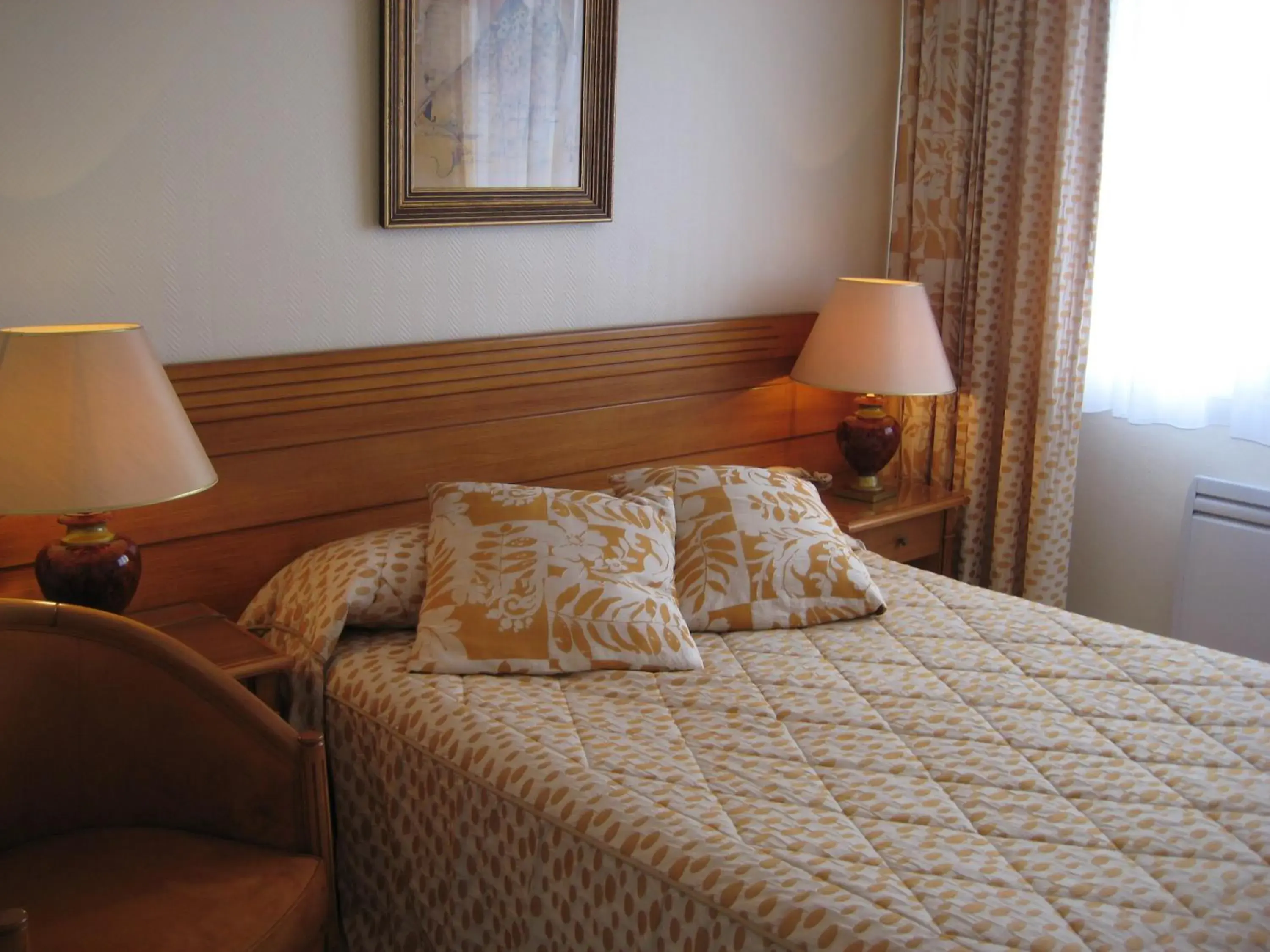 Double Room - single occupancy in Hotel Bellevue de tradition familiale Double Room - single occupancy in Hotel Bellevue de tradition familiale