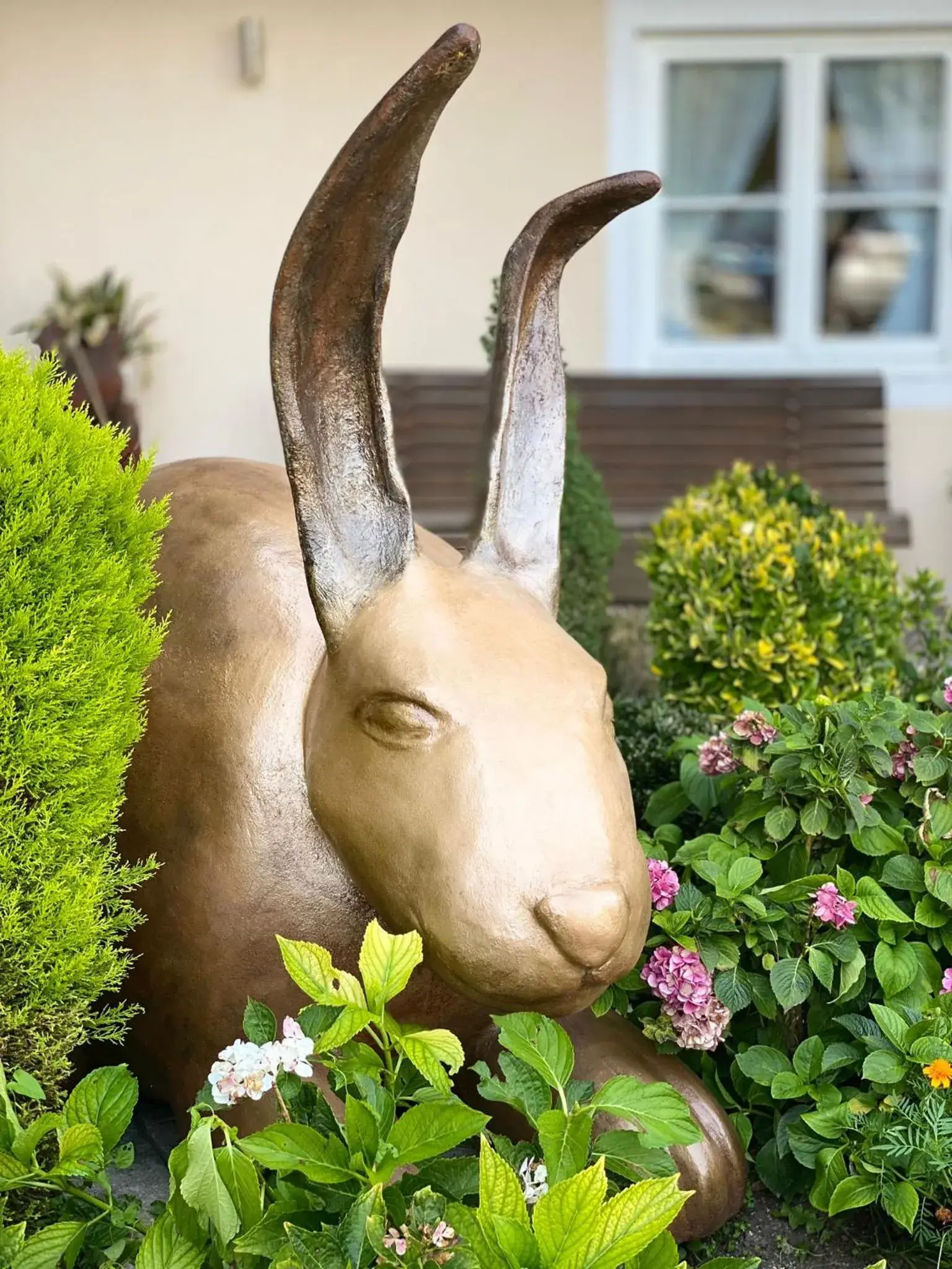 Suite - single occupancy in Beim Has’n Suite - single occupancy in Beim Has’n