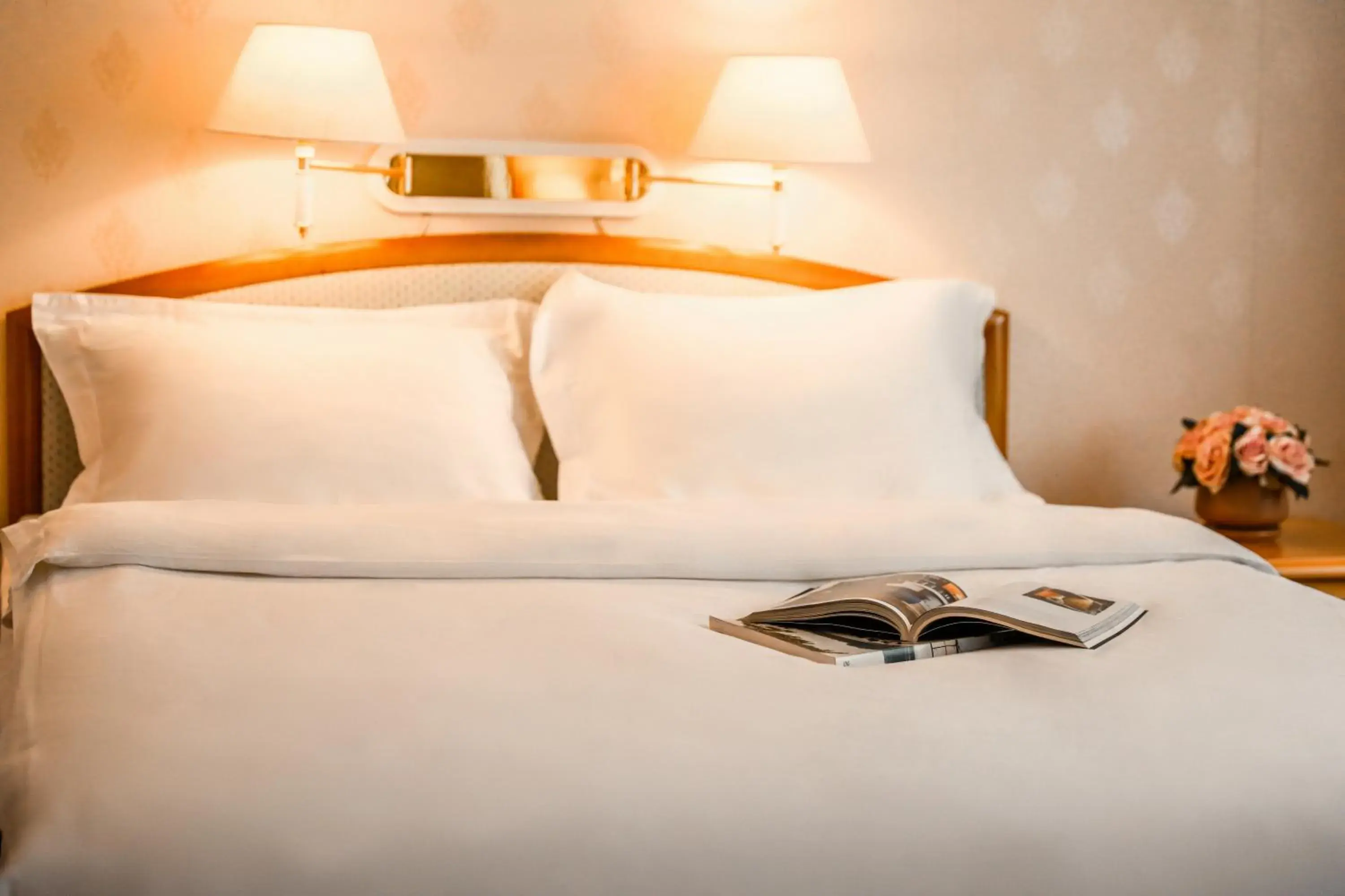 Standard Double Room in Continental Hotel Standard Double Room in Continental Hotel