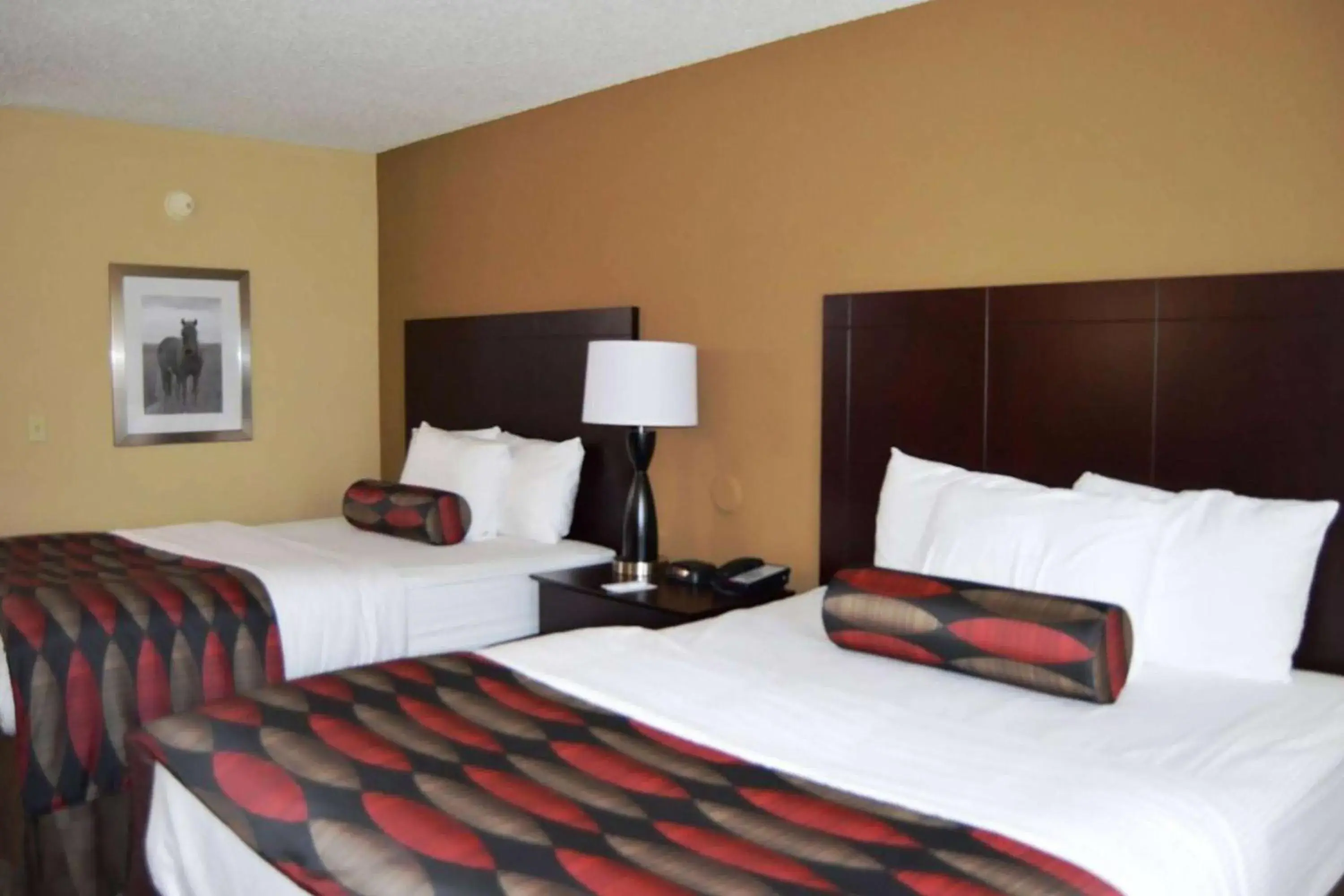 Suite with Two Queen Beds - Non-Smoking in Baymont by Wyndham Ardmore I-35 Suite with Two Queen Beds - Non-Smoking in Baymont by Wyndham Ardmore I-35