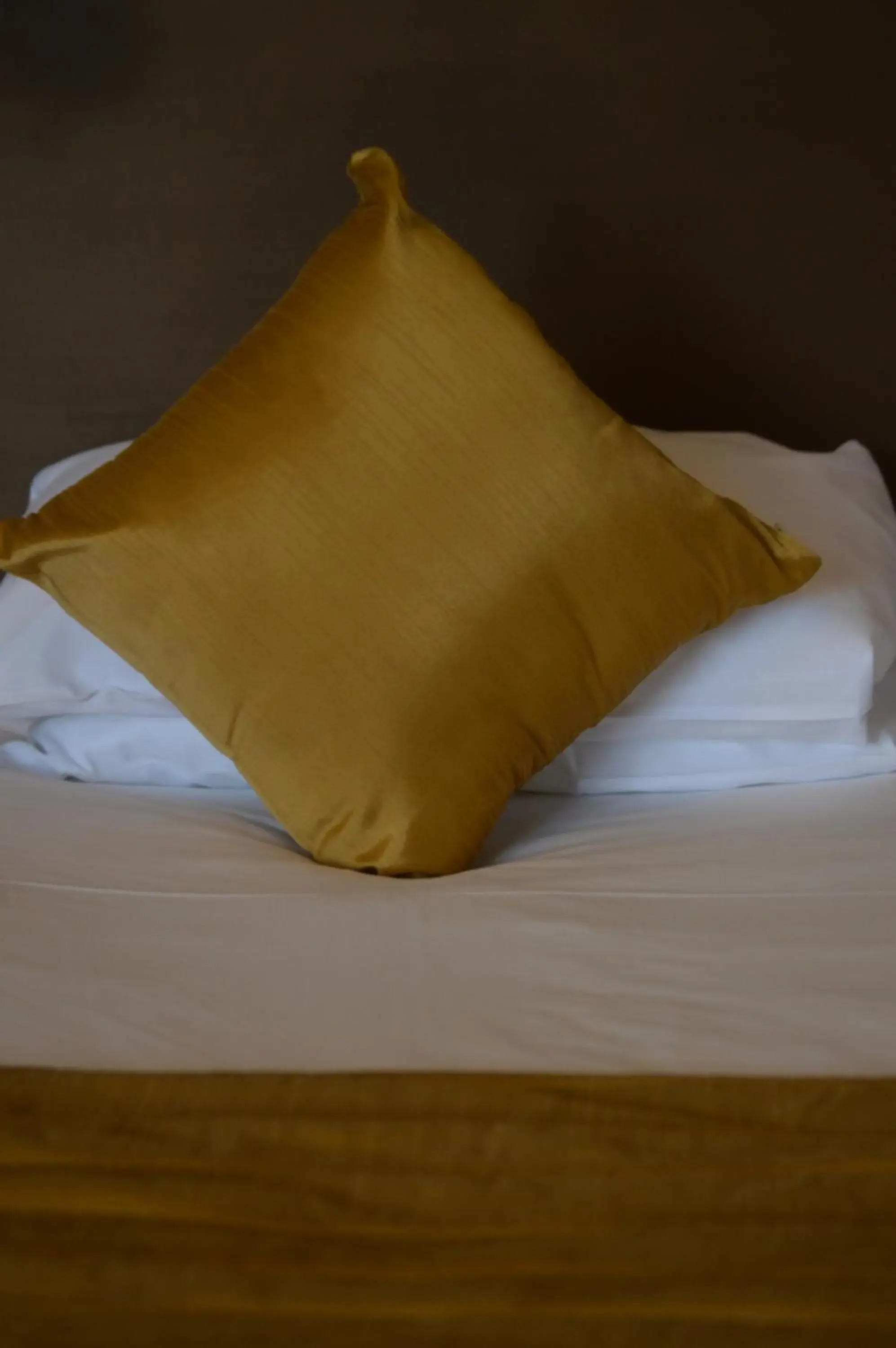 Cozy Single Room in The Burlington Cozy Single Room in The Burlington