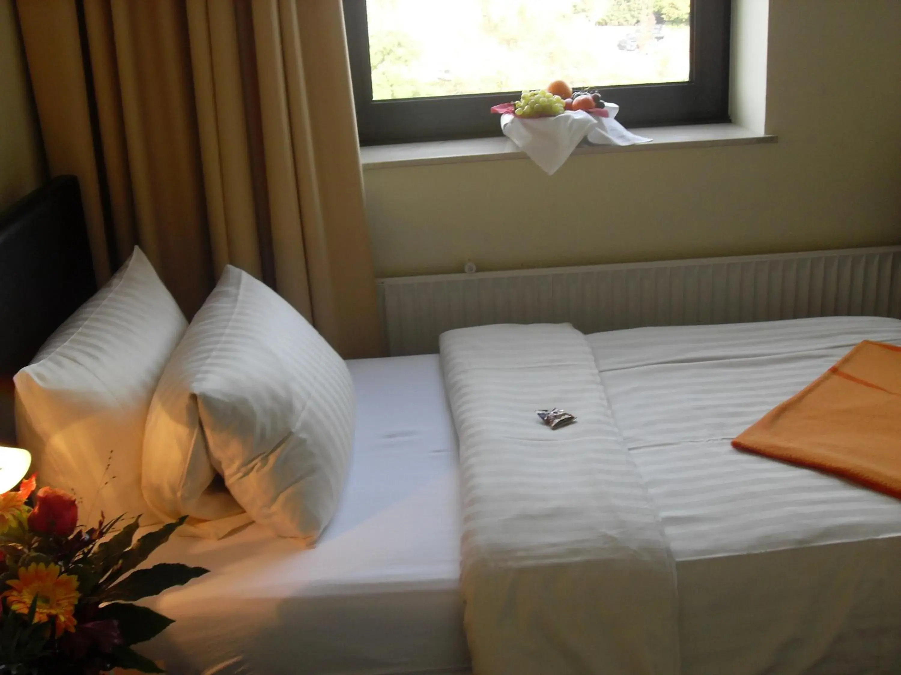 Single Room in Hotel Brückentor Single Room in Hotel Brückentor