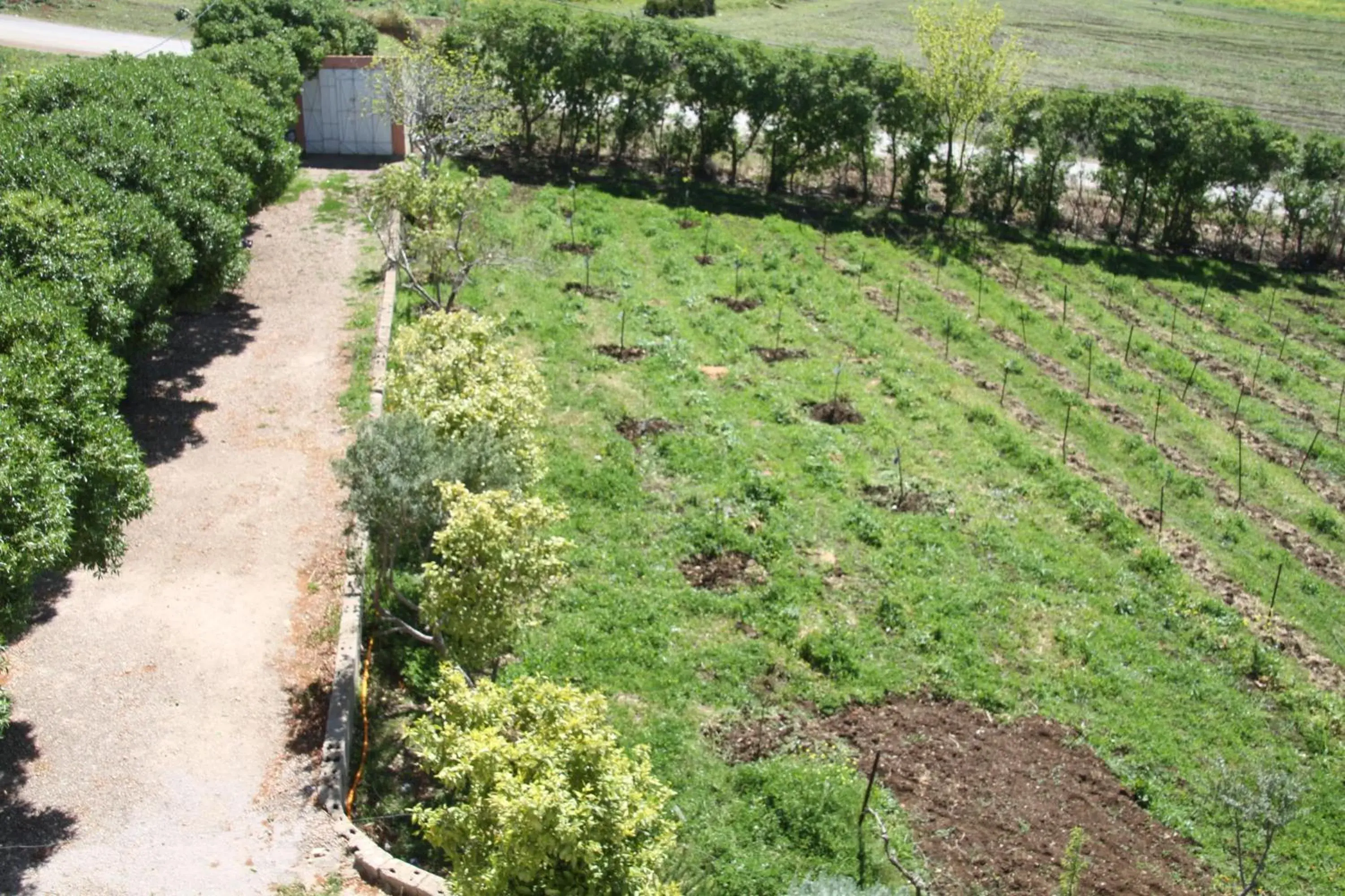 Double or Twin Room in Tahla Garden Double or Twin Room in Tahla Garden