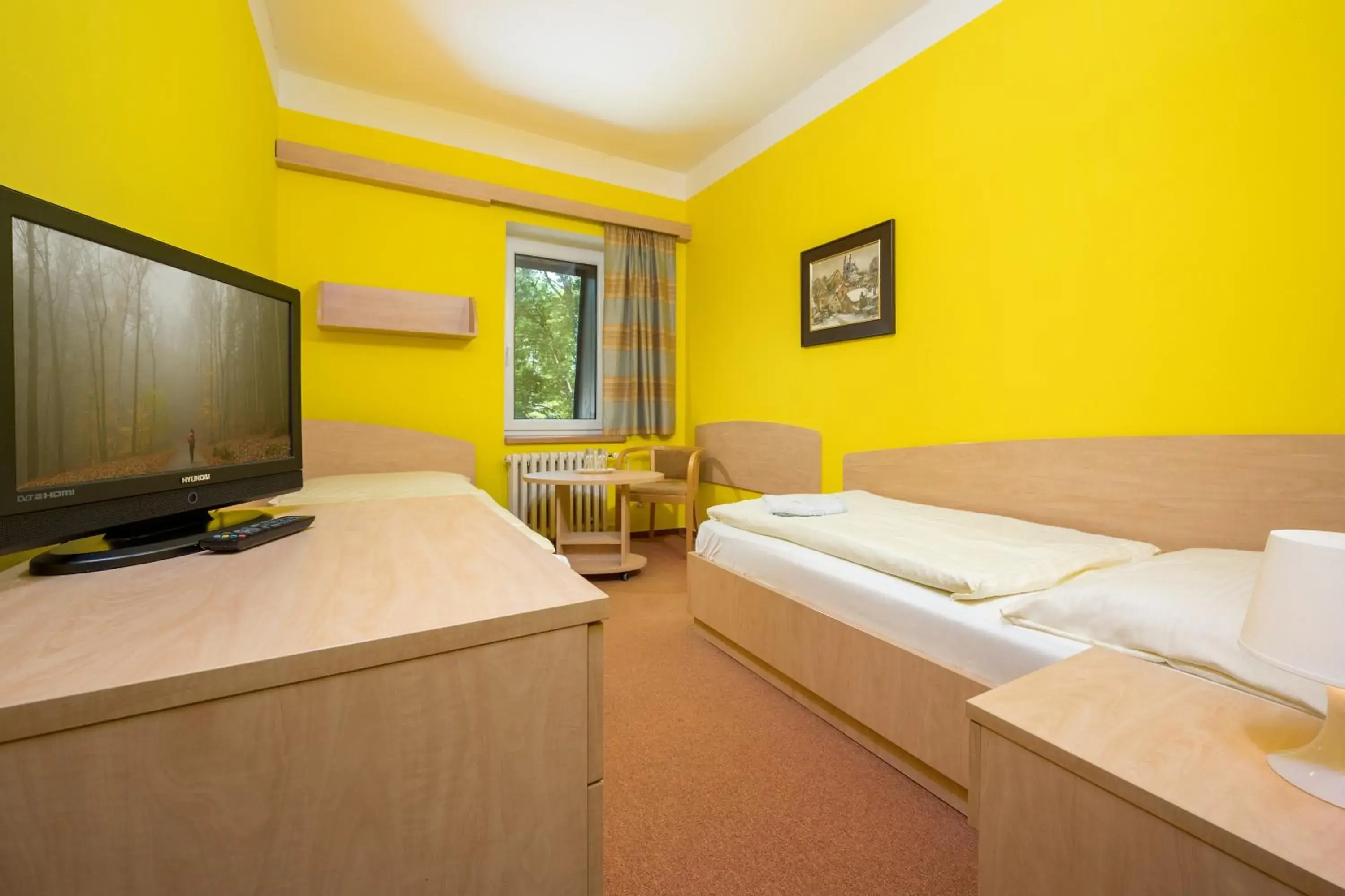 Twin Room with Bathroom - single occupancy in Horský Hotel Jelínek Twin Room with Bathroom - single occupancy in Horský Hotel Jelínek