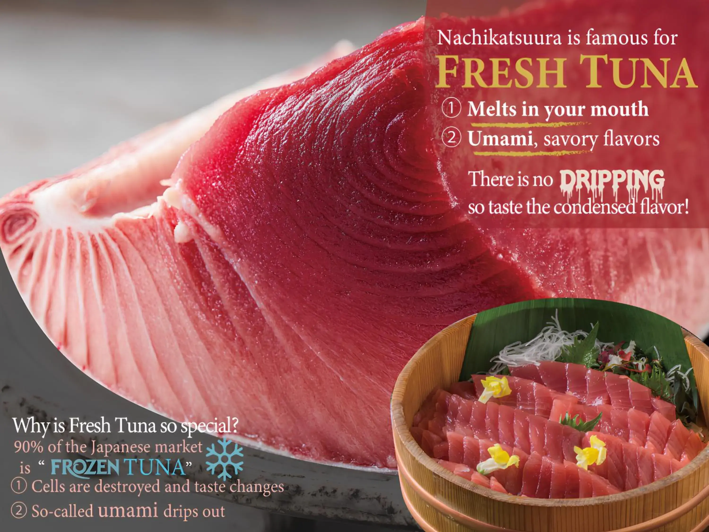 KAMENOI HOTEL Nachi Katsuura KAMENOI HOTEL Nachi Katsuura