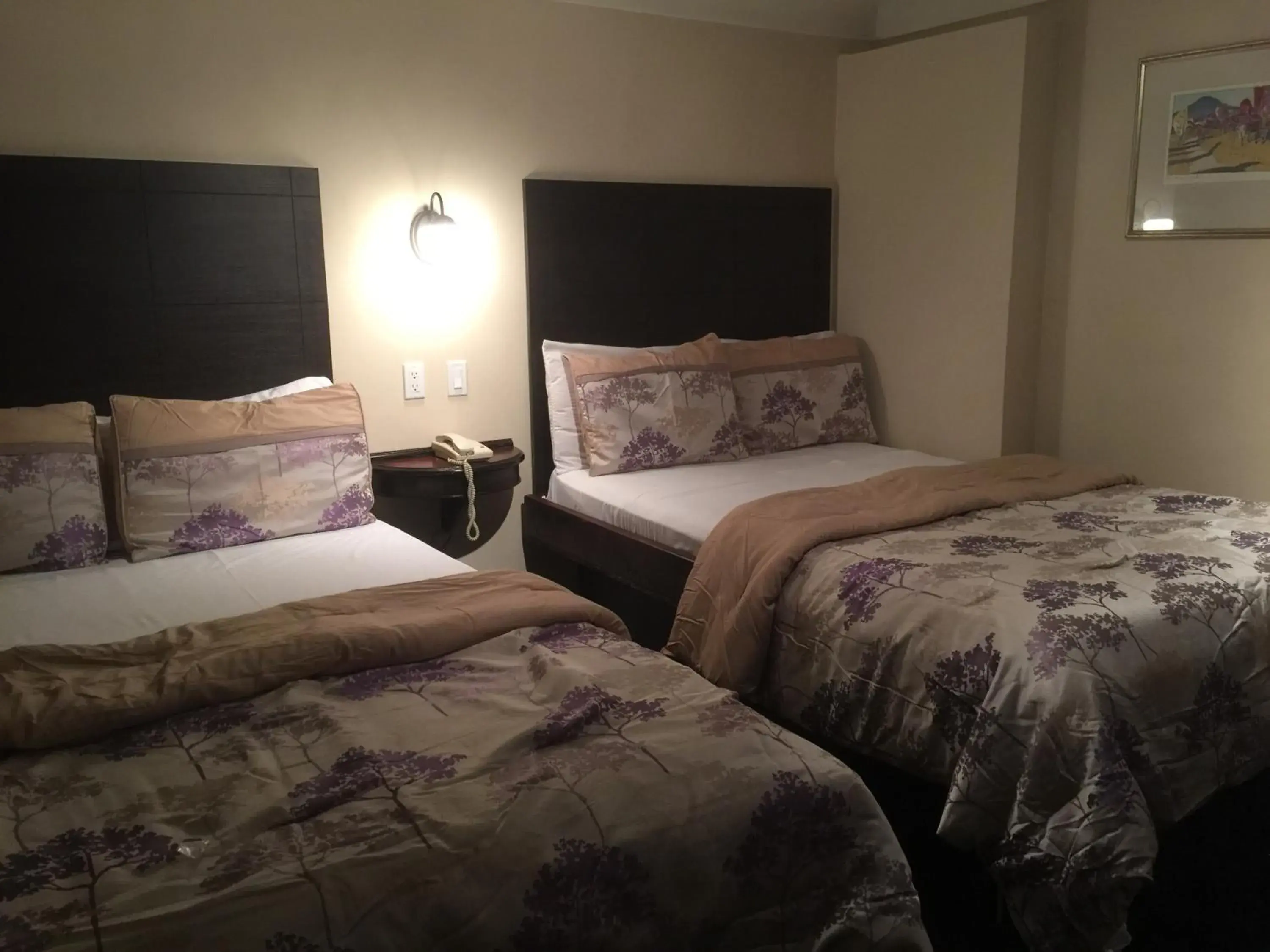 Budget Double Room in Mayflower Motel Budget Double Room in Mayflower Motel