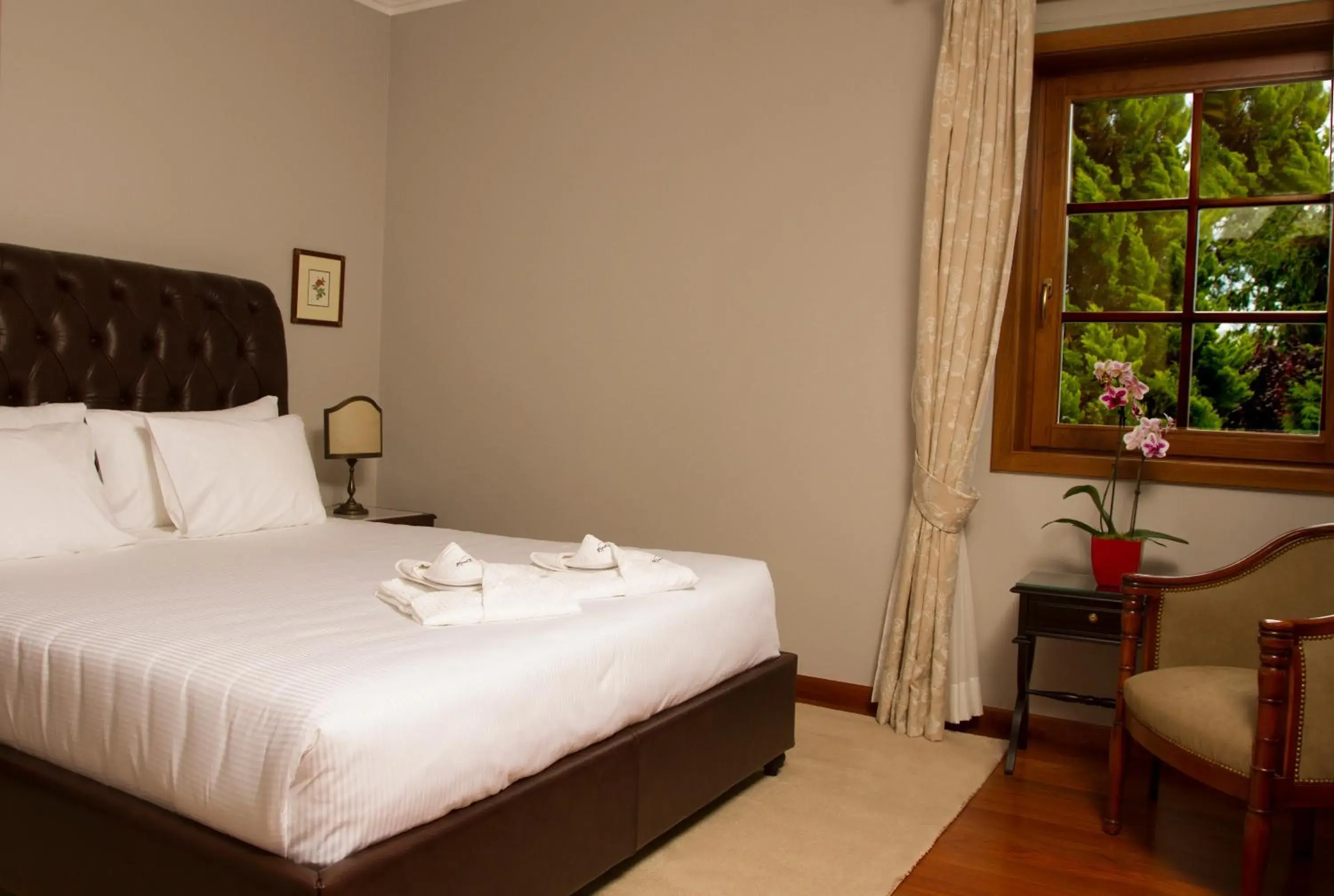 Suite in Rinoterra Minho Suite in Rinoterra Minho