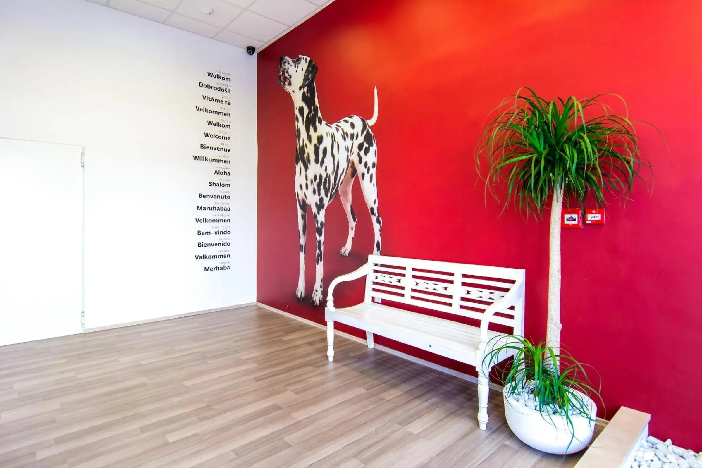 Design Hostel 101 Dalmatinac Design Hostel 101 Dalmatinac