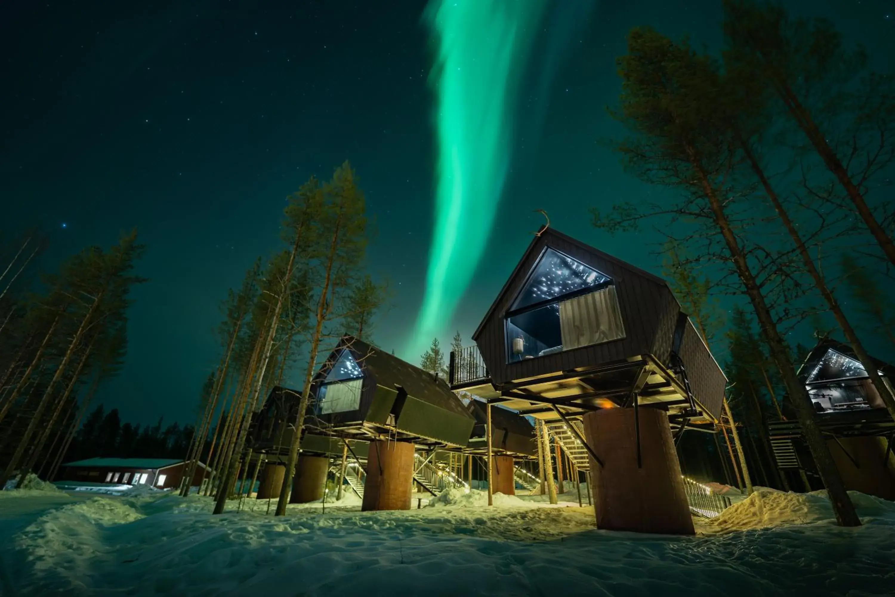 Aurora Treehouse in Aito Igloo & Spa Resort Aurora Treehouse in Aito Igloo & Spa Resort