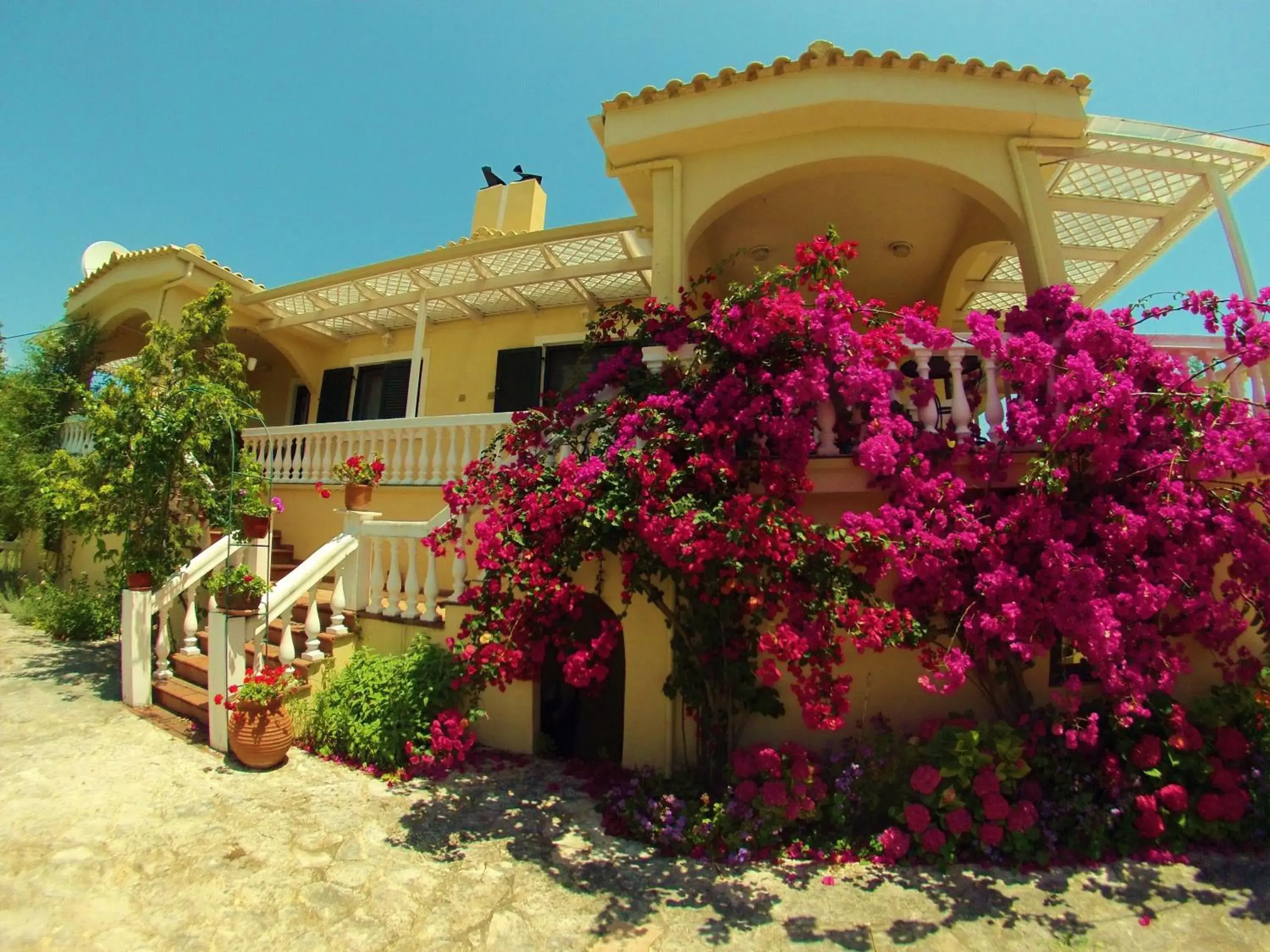 Appartamenti Angelika Appartamenti Angelika