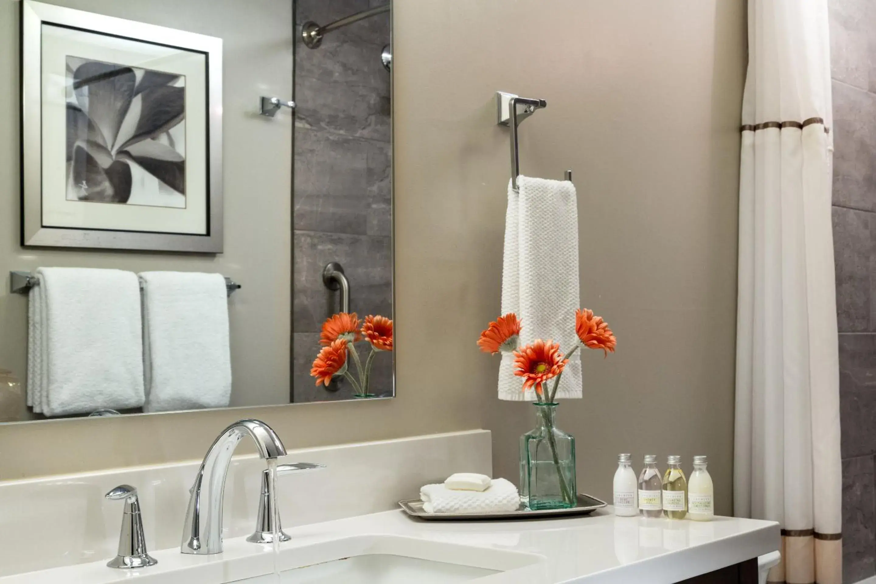 Standard Double Room in Meadowbrook Inn Standard Double Room in Meadowbrook Inn