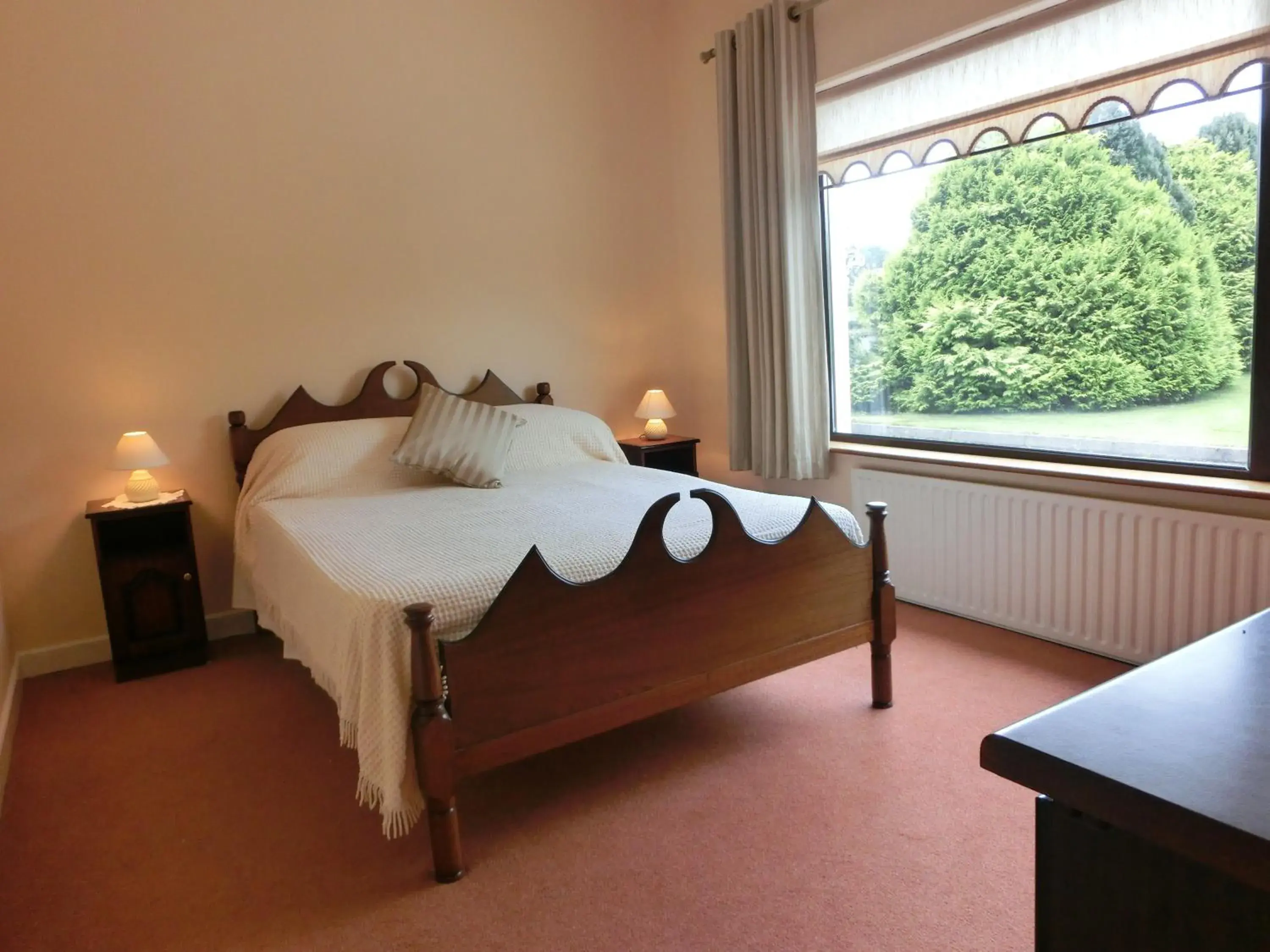 Double Room with Shared Bathroom in Palmgrove Bed & Breakfast Double Room with Shared Bathroom in Palmgrove Bed & Breakfast