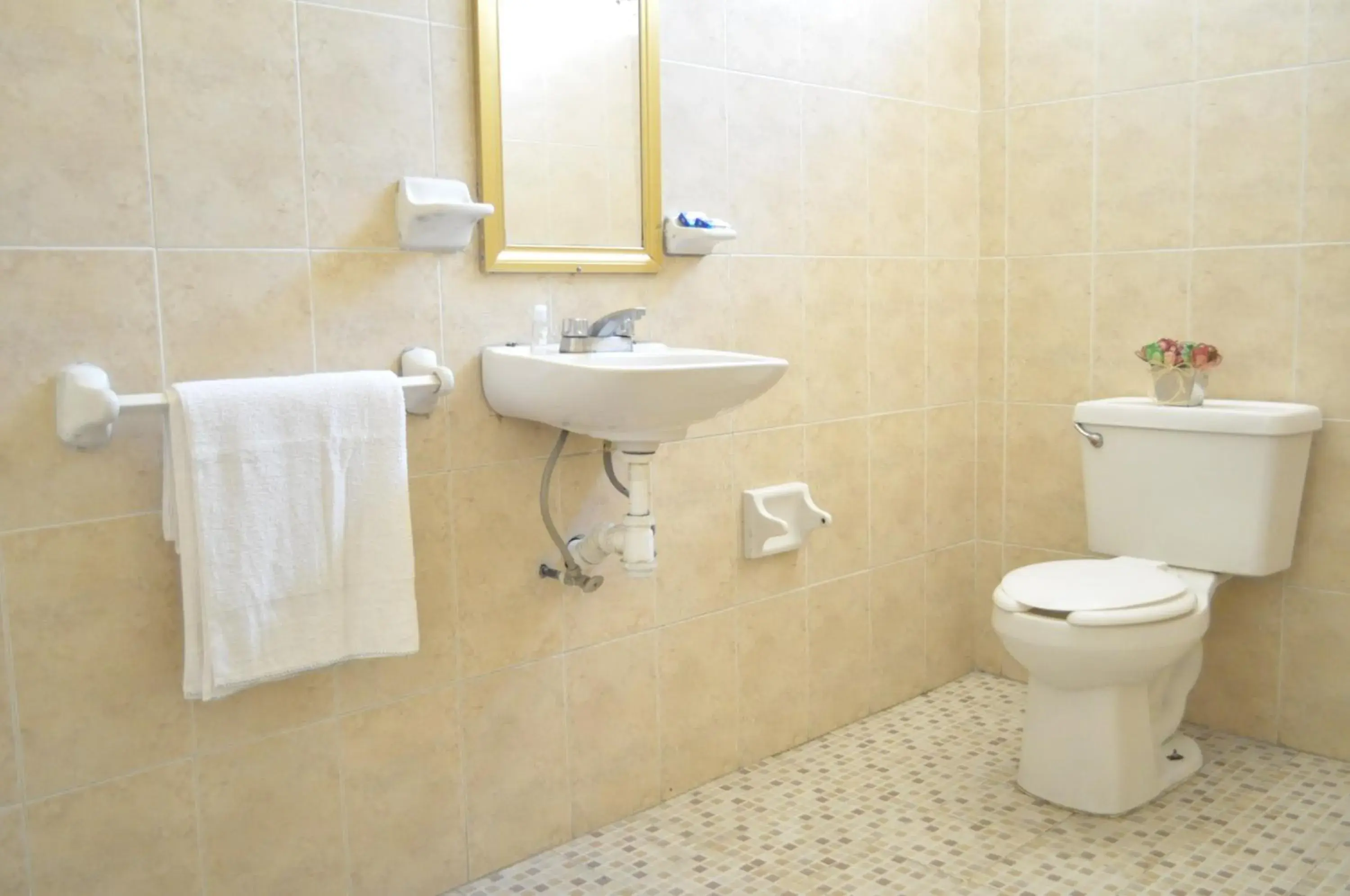 Quadruple Room - single occupancy in Hotel San Carlos Quadruple Room - single occupancy in Hotel San Carlos