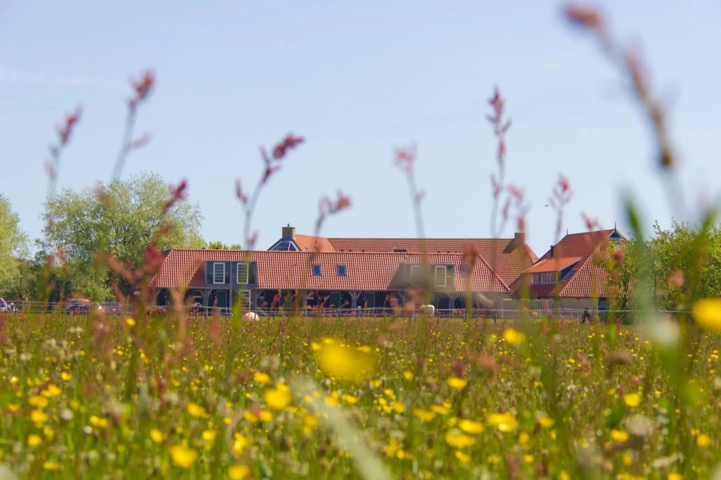 Deluxe Family Suite in Hotel De Walvisvaarder Deluxe Family Suite in Hotel De Walvisvaarder