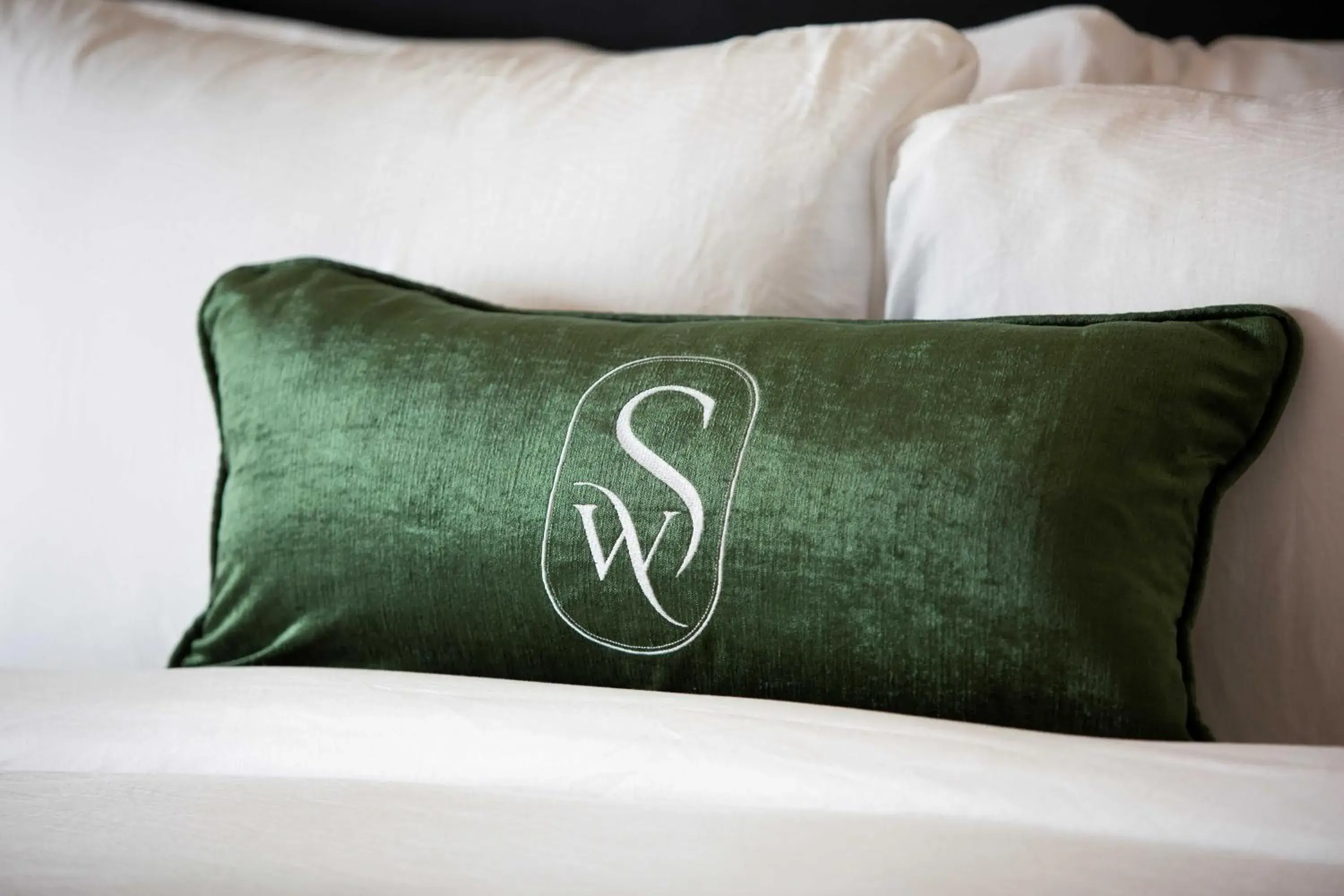 ADA Plunge Pool Suite King 21+ Only in The Swiftwater ADA Plunge Pool Suite King 21+ Only in The Swiftwater