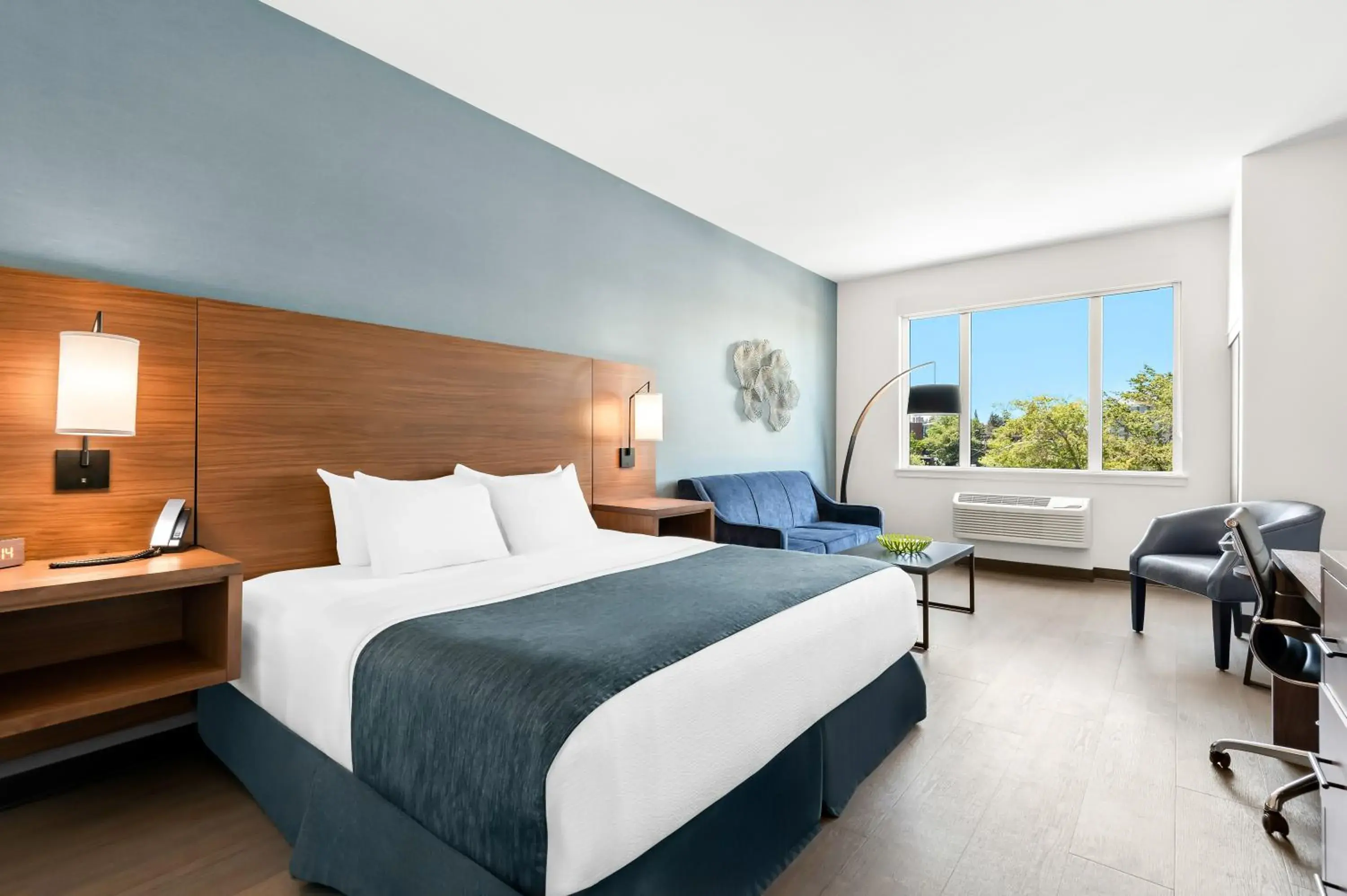 Hayward Building ADA King with Sofa Bed (Disability Access) in Hayward Inn Hayward Building ADA King with Sofa Bed (Disability Access) in Hayward Inn