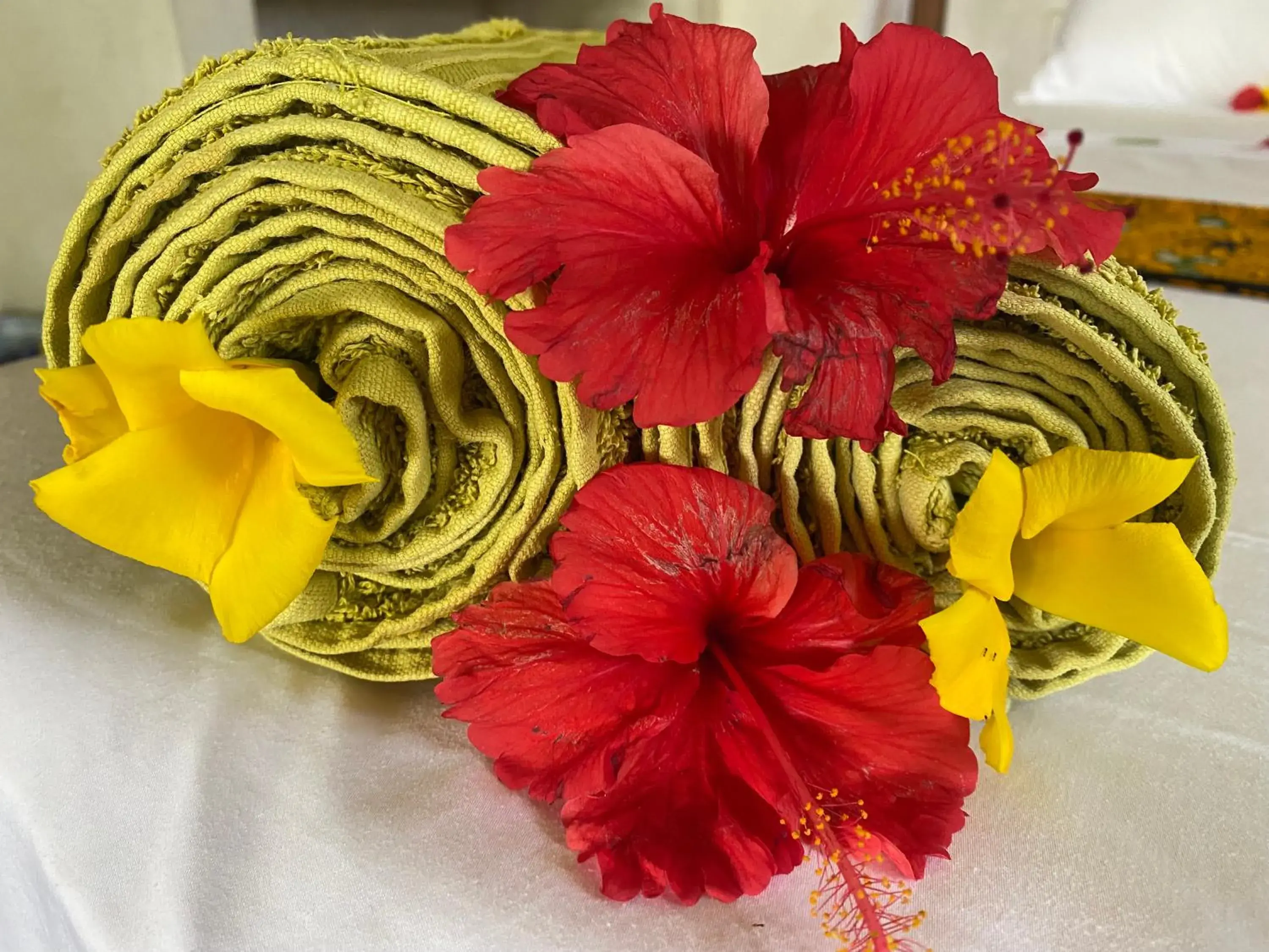 Superior Quadruple Room in Blue Reef Sport & Fishing Lodge and Bungalows Superior Quadruple Room in Blue Reef Sport & Fishing Lodge and Bungalows