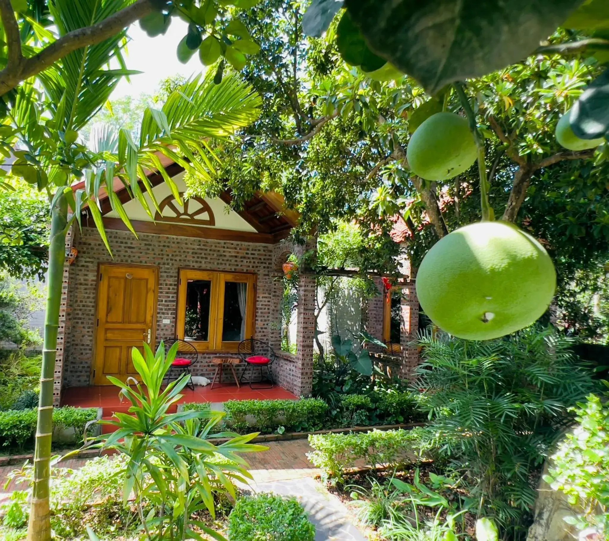 Triple Room with Pool View - single occupancy in Ninh Bình Family Homestay Triple Room with Pool View - single occupancy in Ninh Bình Family Homestay