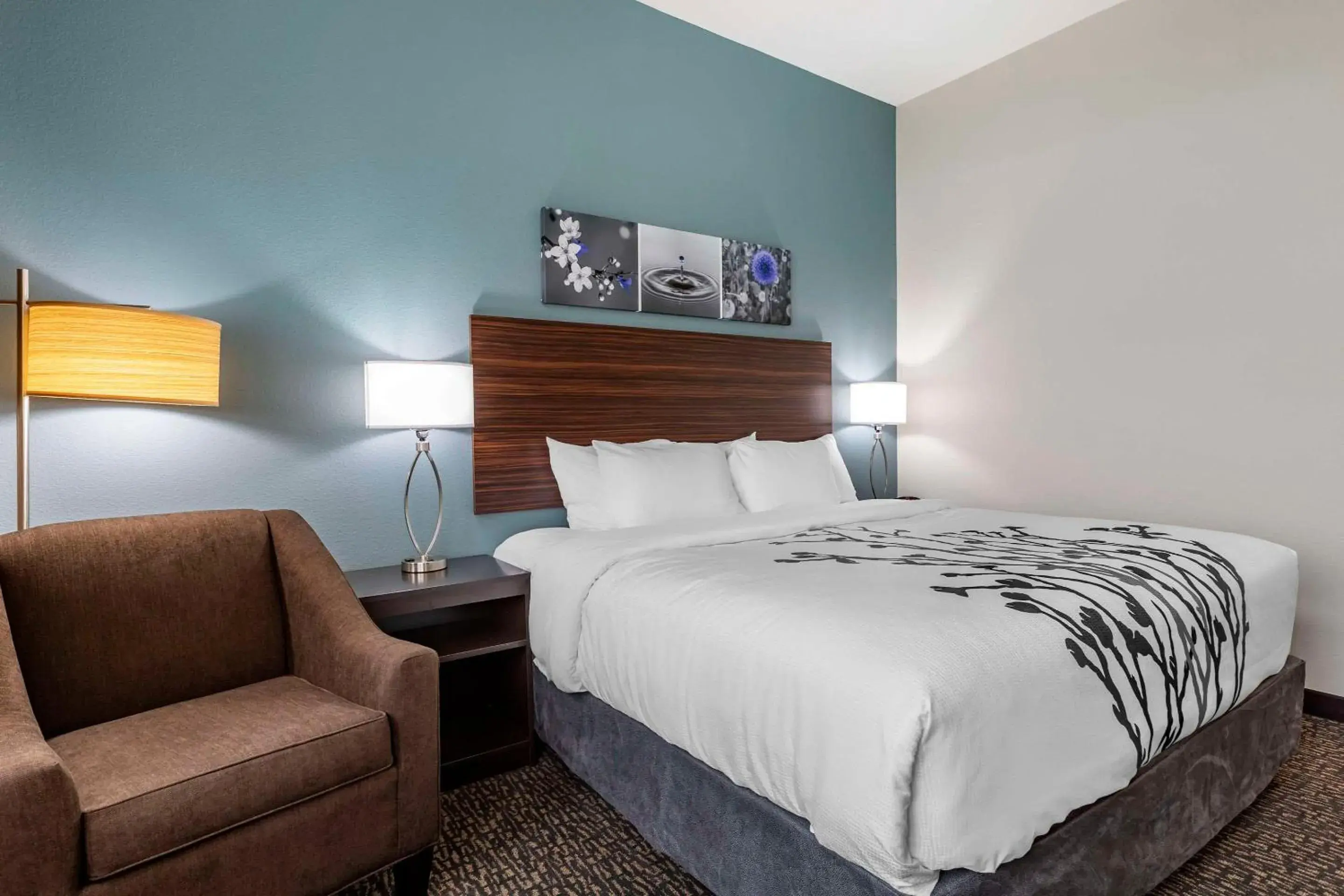 King Room - Non Smoking in Sleep Inn & Suites Milwaukee-Franklin King Room - Non Smoking in Sleep Inn & Suites Milwaukee-Franklin