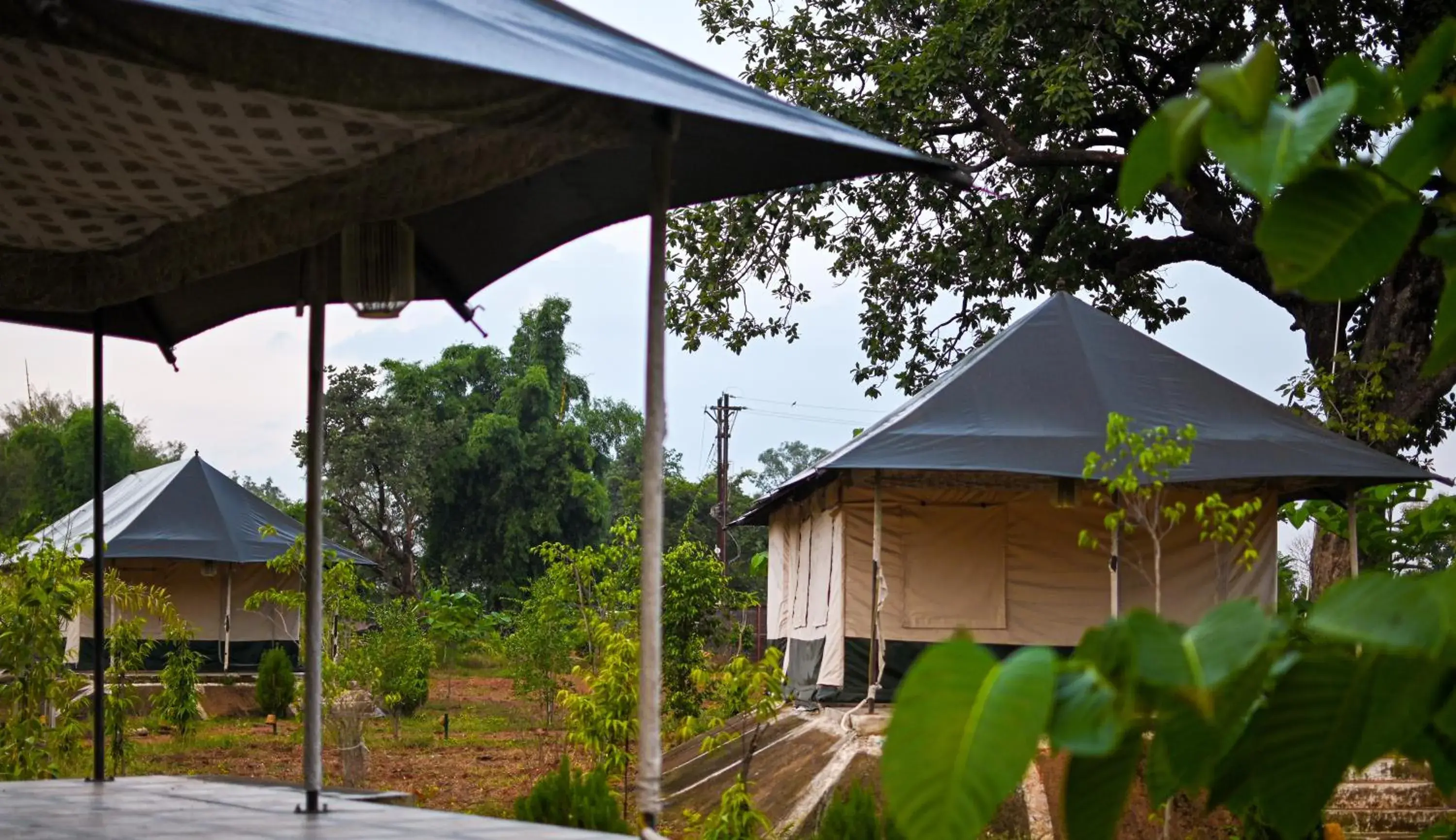 Bundeli Camps and Resorts, Panna Bundeli Camps and Resorts, Panna