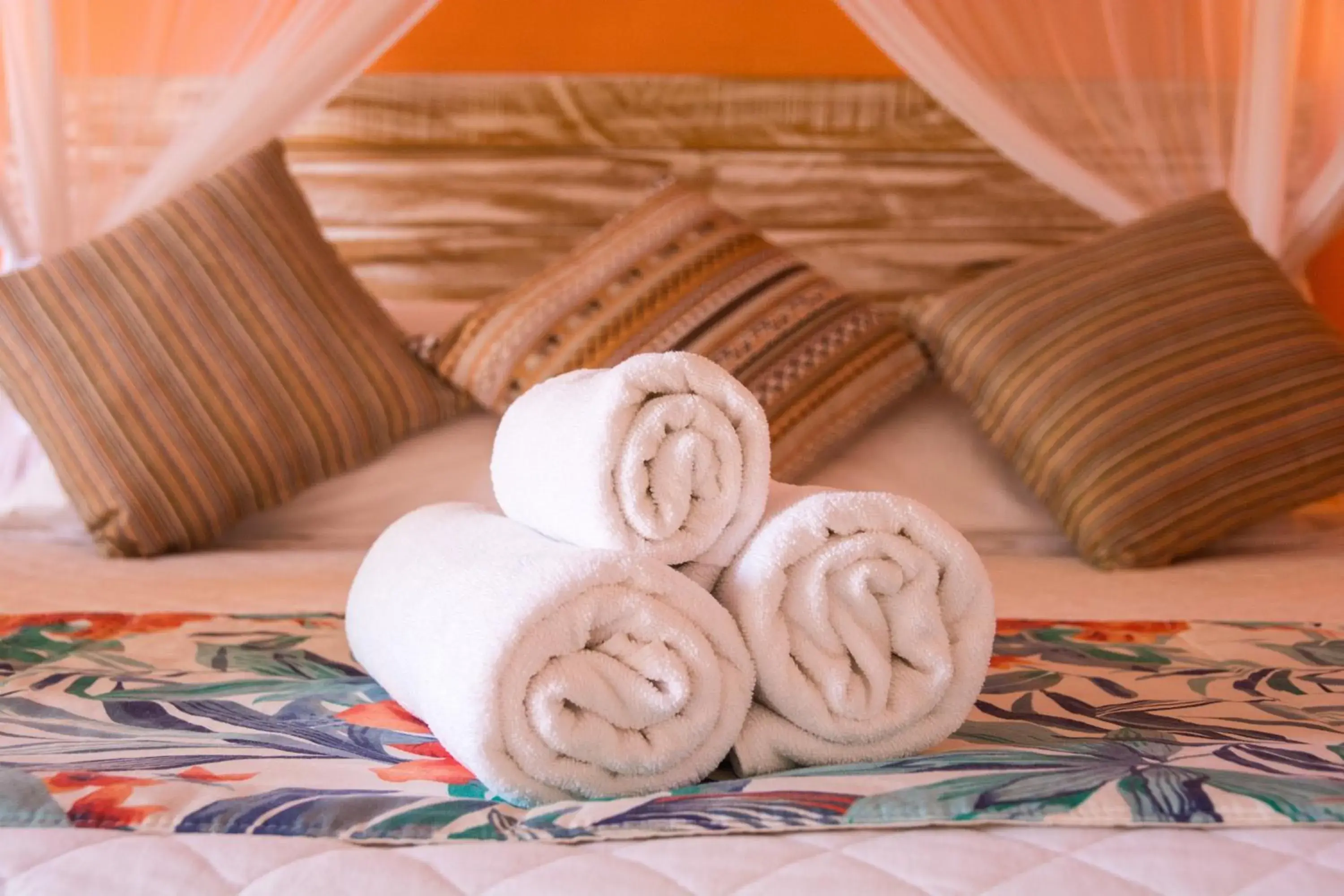 Queen Room with Spa Bath in Pousada Maria Pitanga Queen Room with Spa Bath in Pousada Maria Pitanga