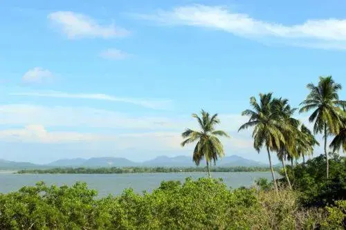 Wellness Junior Suite - single occupancy in Thaulle Ayurveda Resort - Yala Wellness Junior Suite - single occupancy in Thaulle Ayurveda Resort - Yala