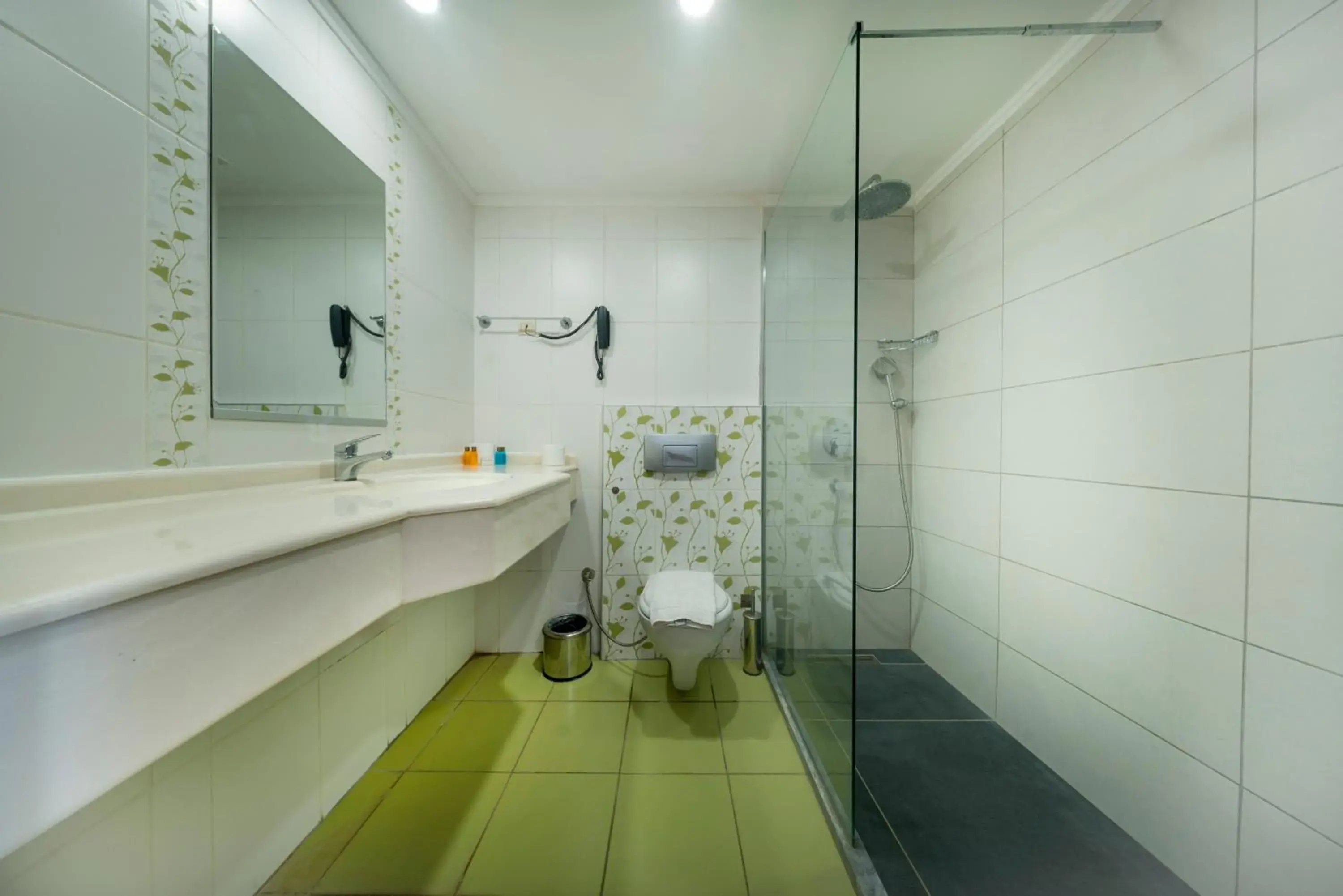 Large Double Room - single occupancy in white lilyum hotel Large Double Room - single occupancy in white lilyum hotel