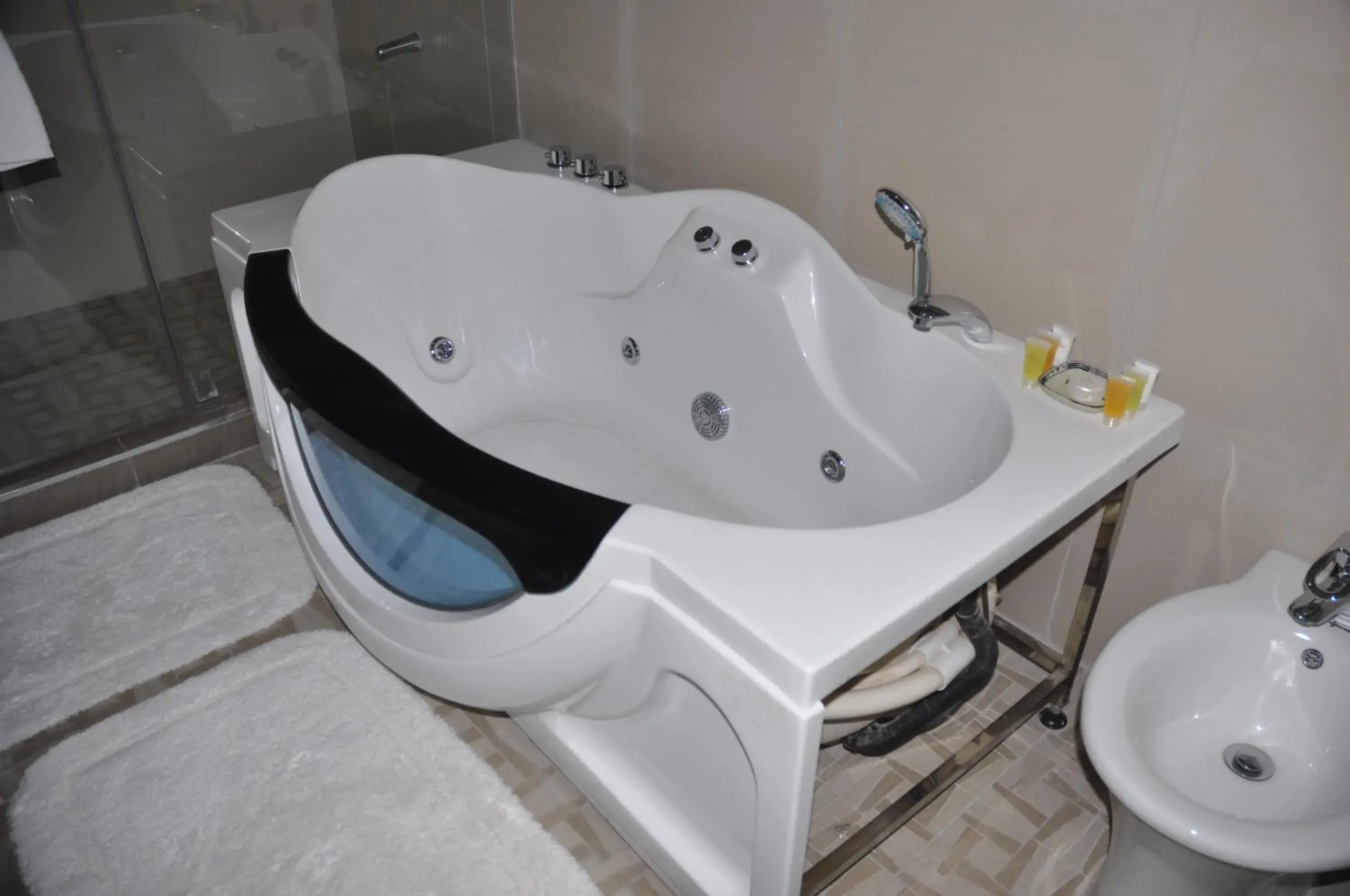 Presidential Suite - single occupancy in Weston Hotel Presidential Suite - single occupancy in Weston Hotel