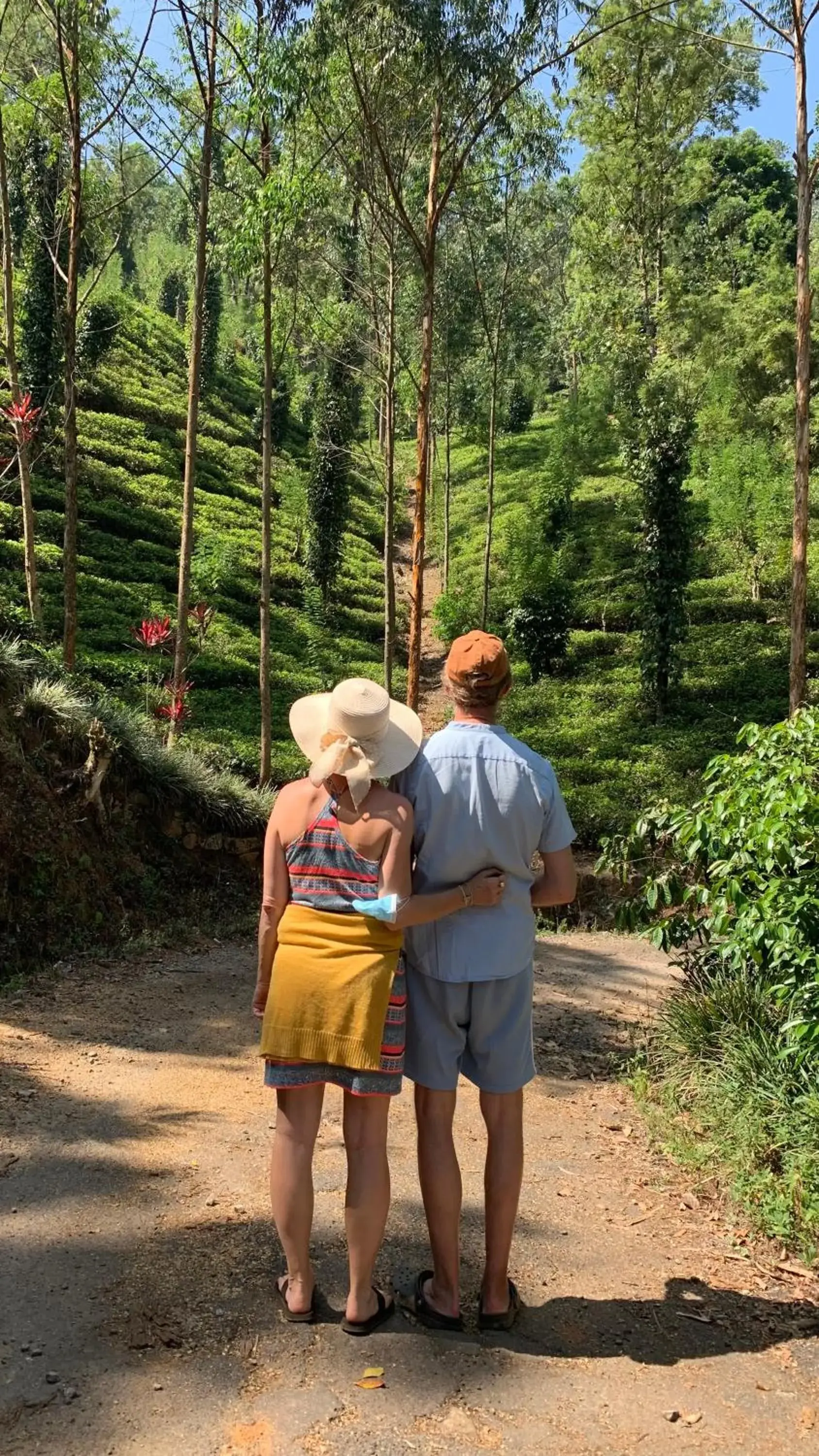 Tea Cottage Resort & Spa Tea Cottage Resort & Spa