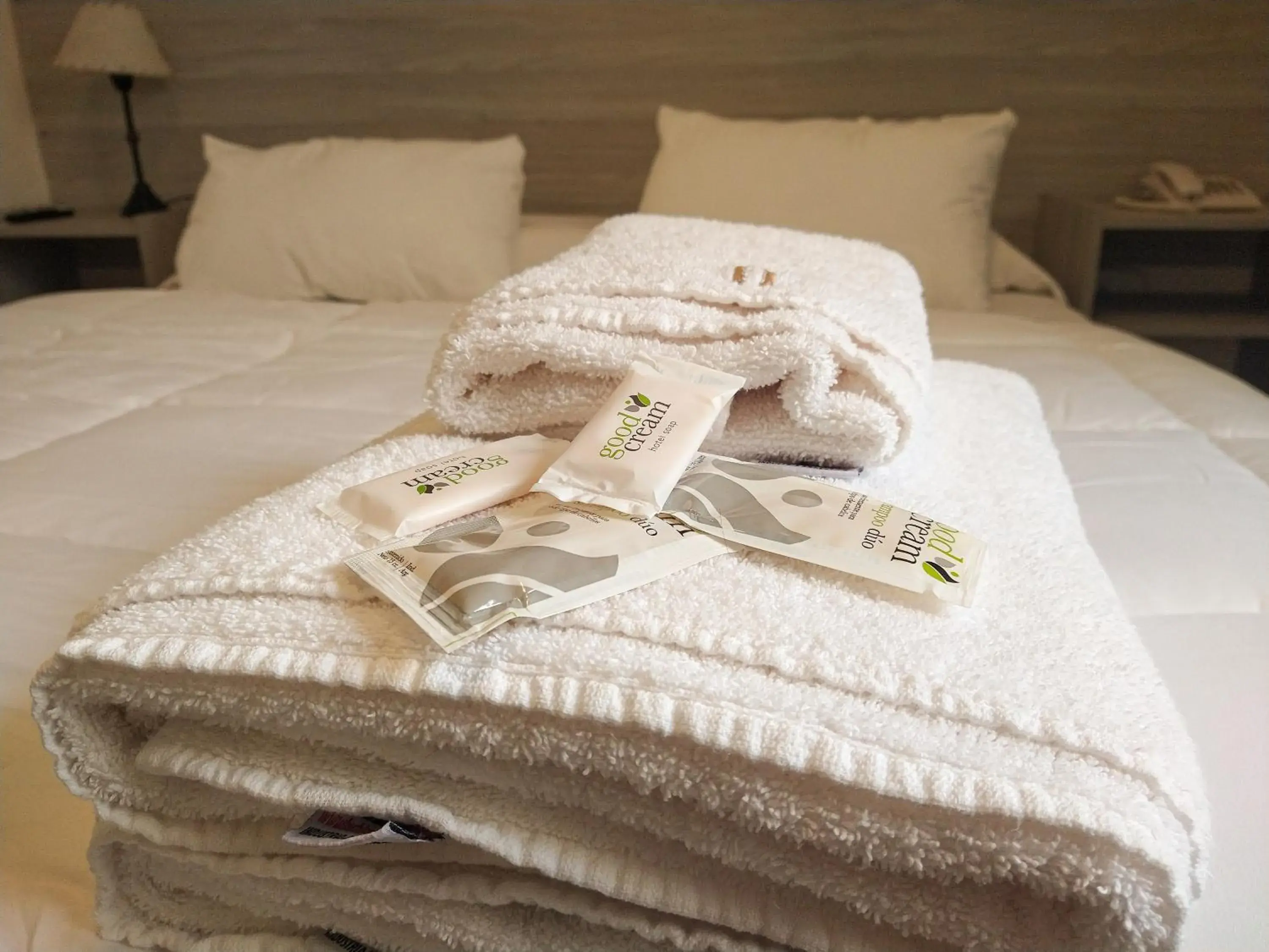 Standard Double Room - single occupancy in GS Hotel Standard Double Room - single occupancy in GS Hotel