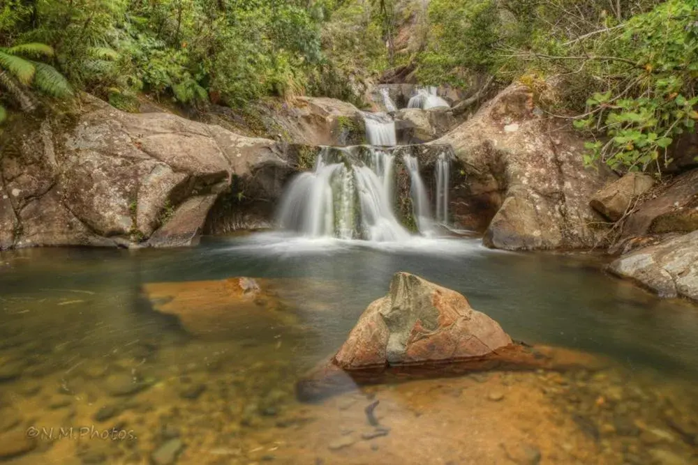 Rapaura Watergardens Rapaura Watergardens