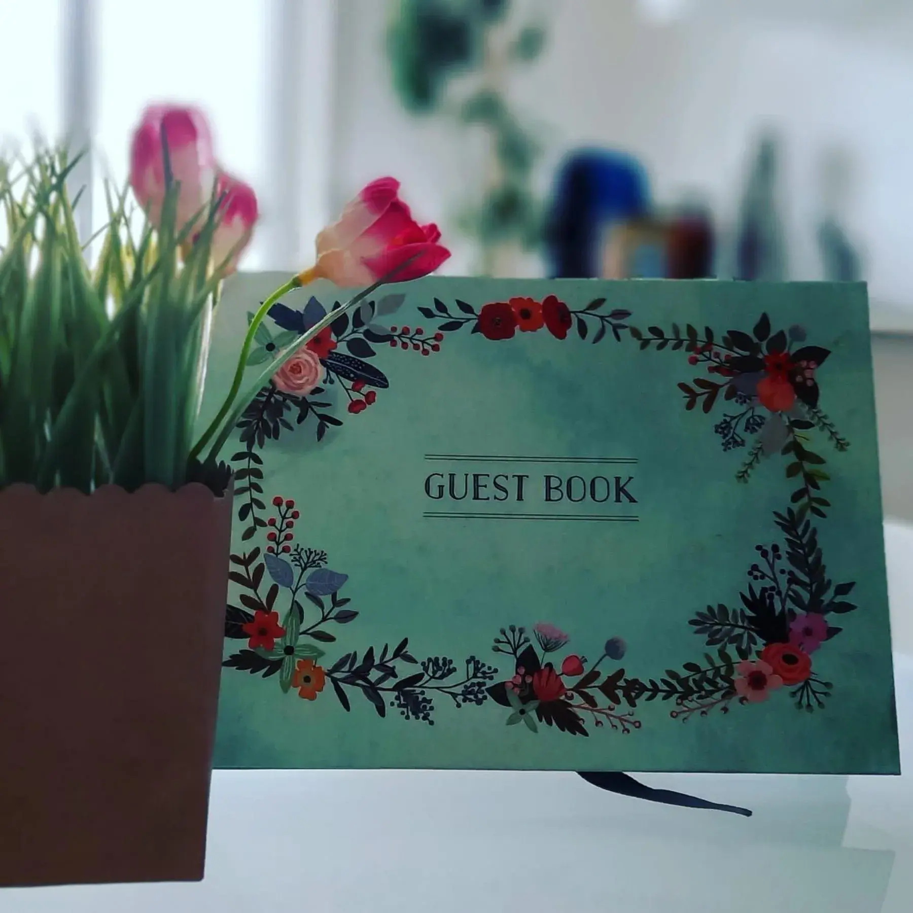 B&B La Gatta Bianca B&B La Gatta Bianca