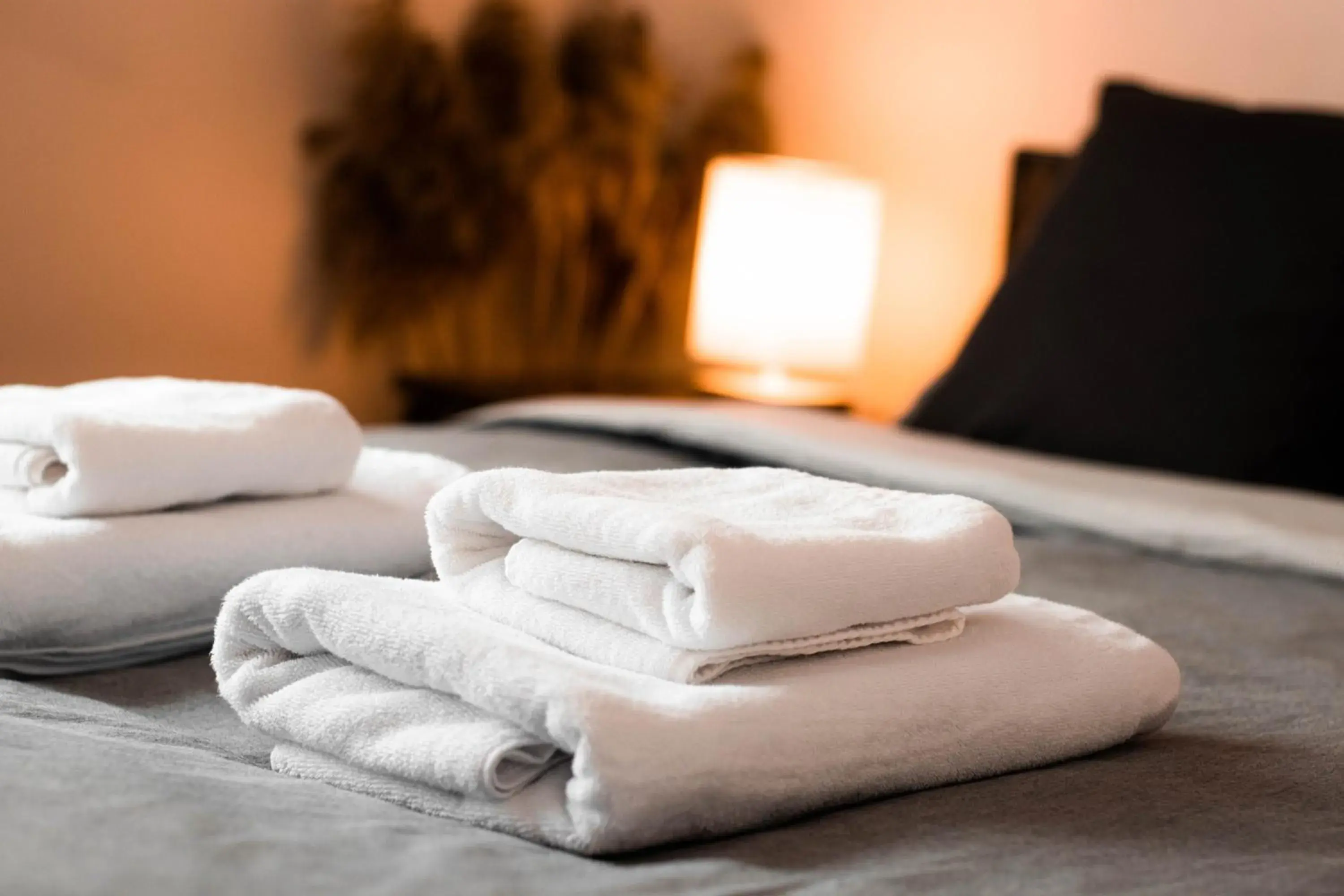 Double Room with Private Bathroom in Vanaga Ligzda Double Room with Private Bathroom in Vanaga Ligzda