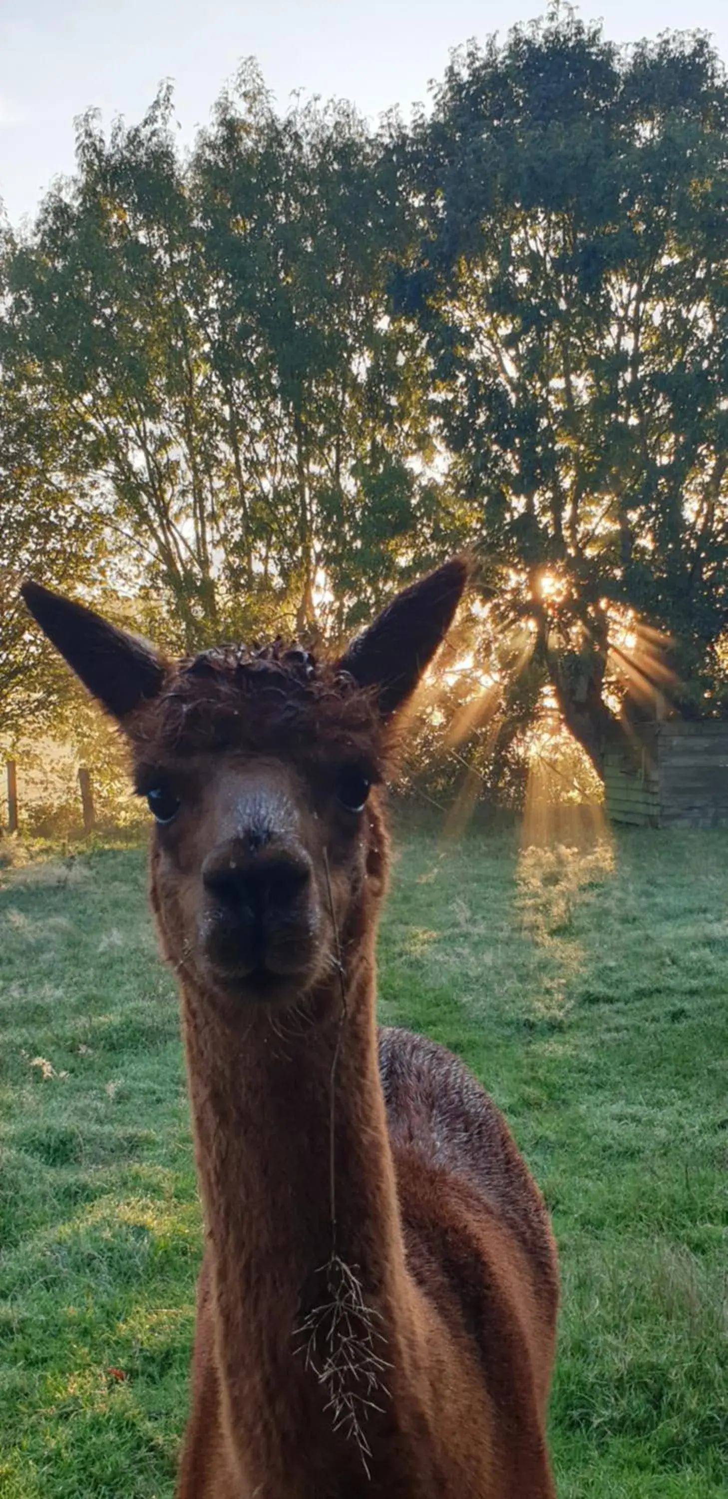 Aux murmures de la nature B&B Aux murmures de la nature B&B
