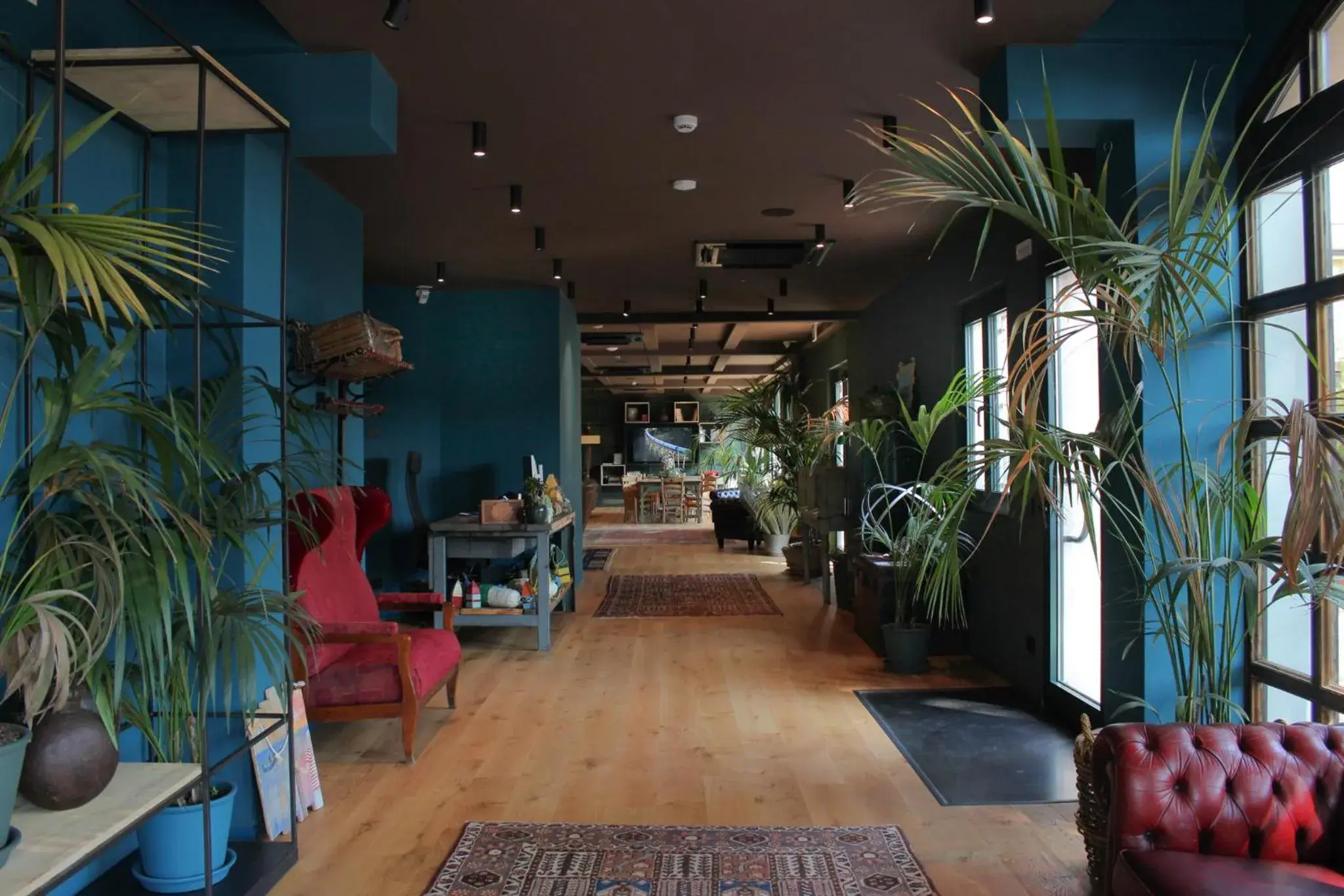 Camoma Aparthotel - Suites Apartments Camoma Aparthotel - Suites Apartments