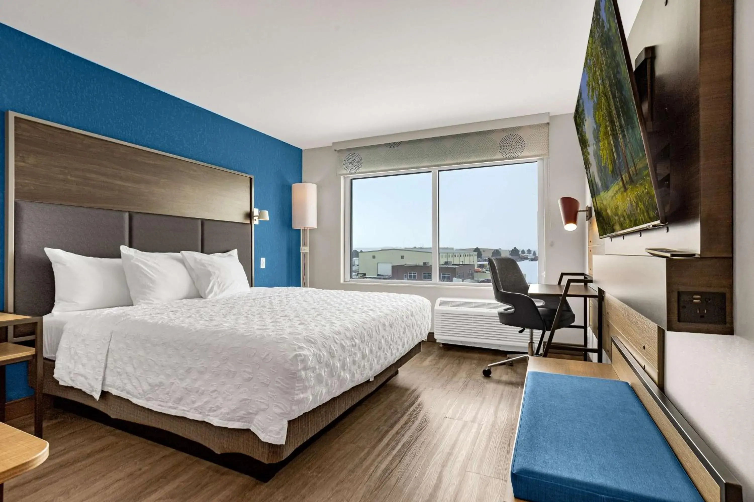 King Room with Walk-In Shower in Tru By Hilton Colorado Springs Airport King Room with Walk-In Shower in Tru By Hilton Colorado Springs Airport