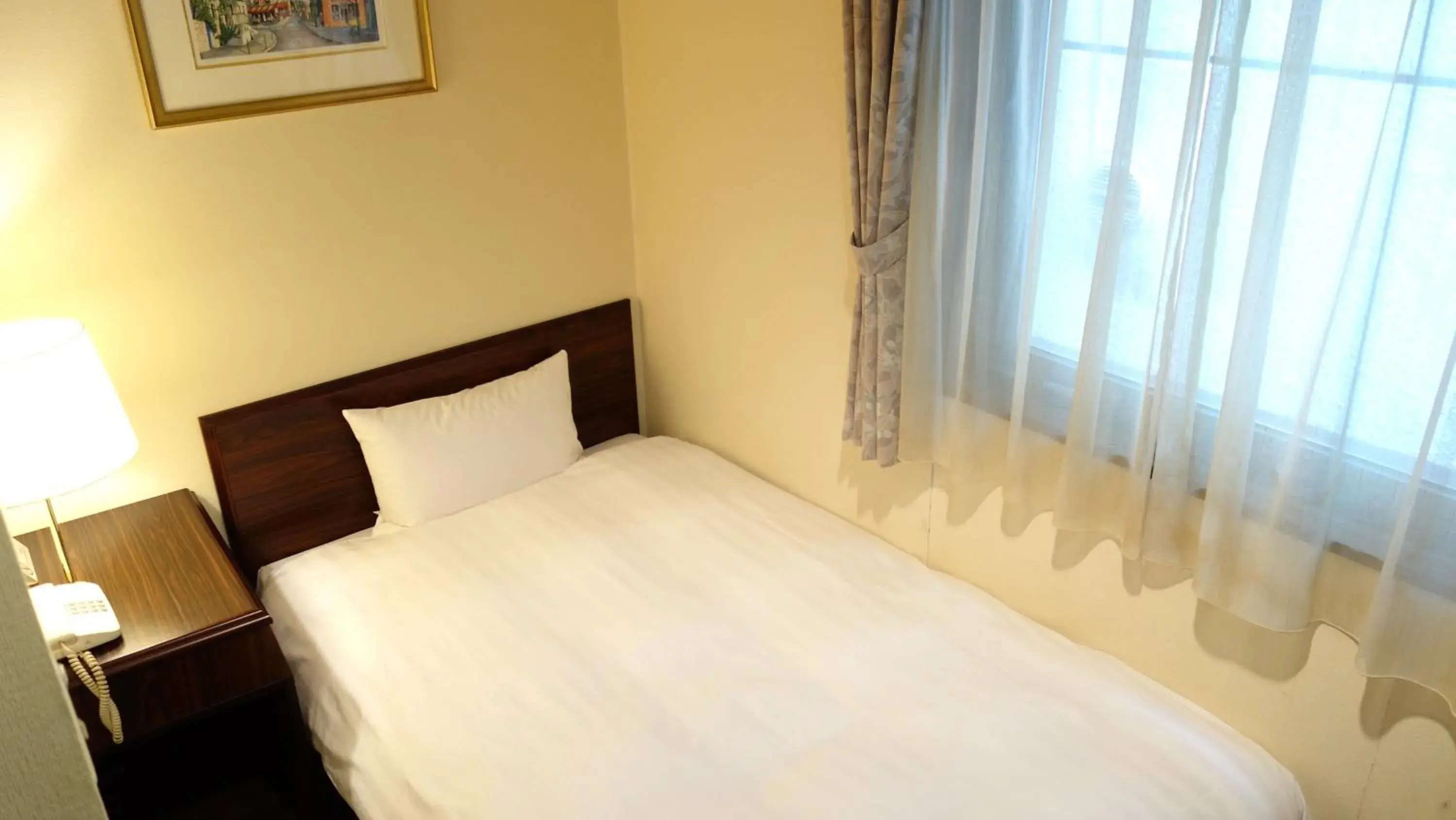 Single Room - Smoking in Hotel Green With Single Room - Smoking in Hotel Green With