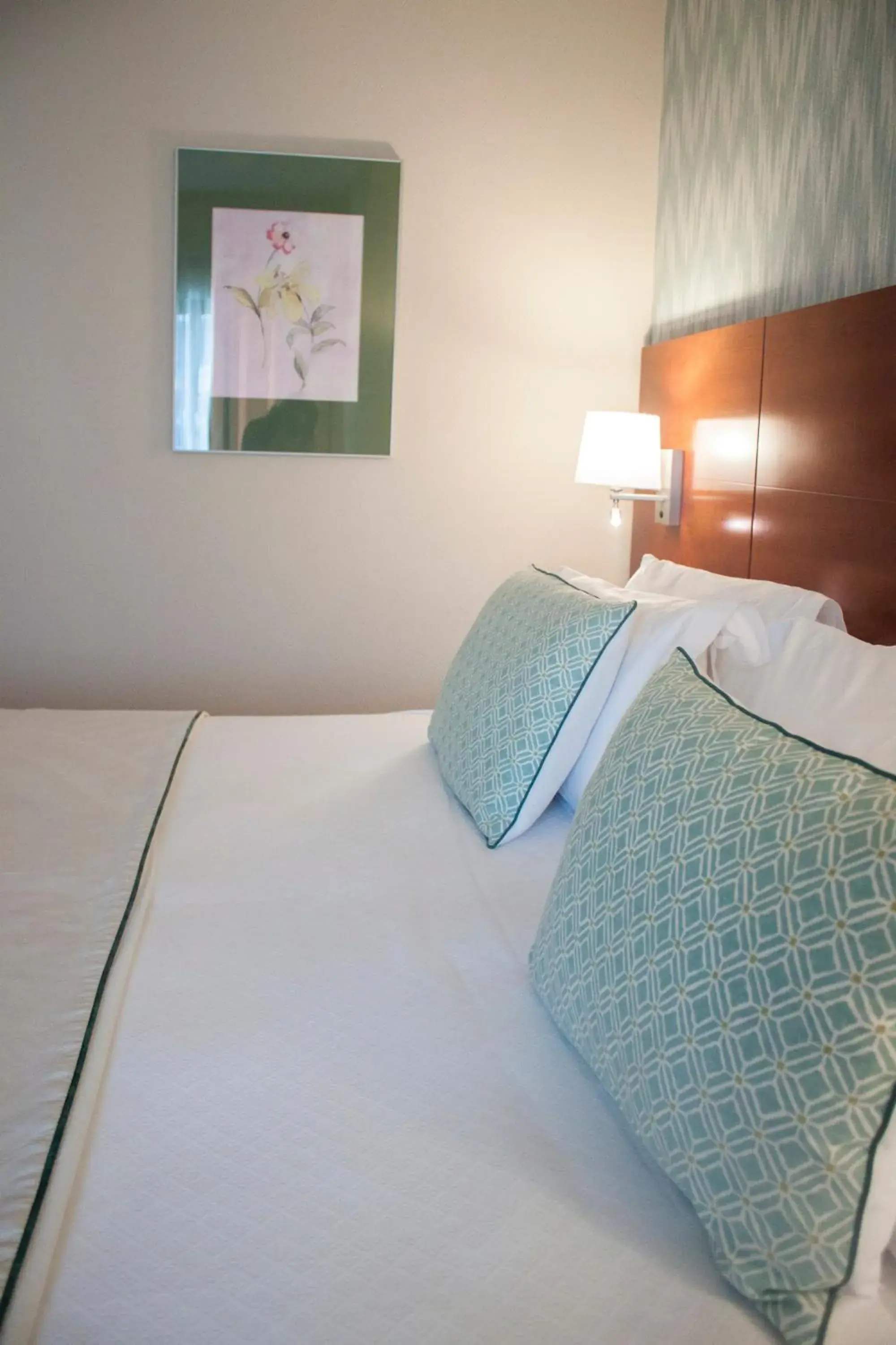 Single Room - single occupancy in Hotel Carlos I Silgar Single Room - single occupancy in Hotel Carlos I Silgar
