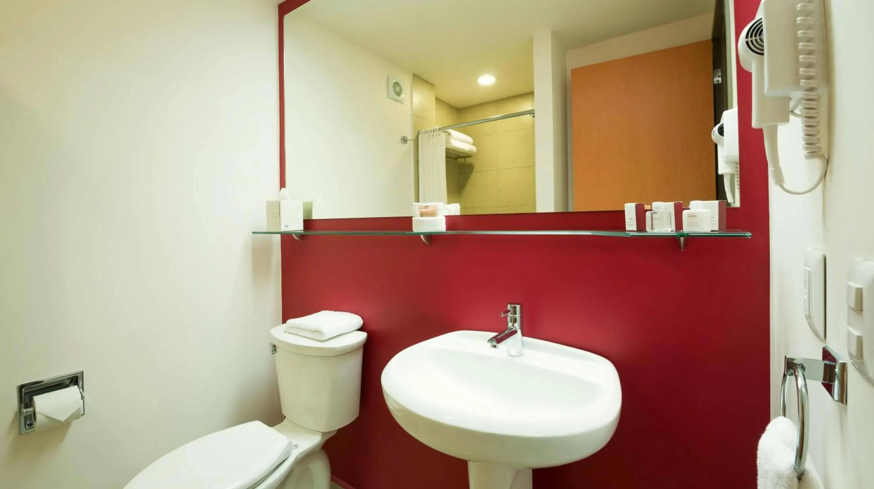 Dog Friendly Room in Mision Express Queretaro Dog Friendly Room in Mision Express Queretaro