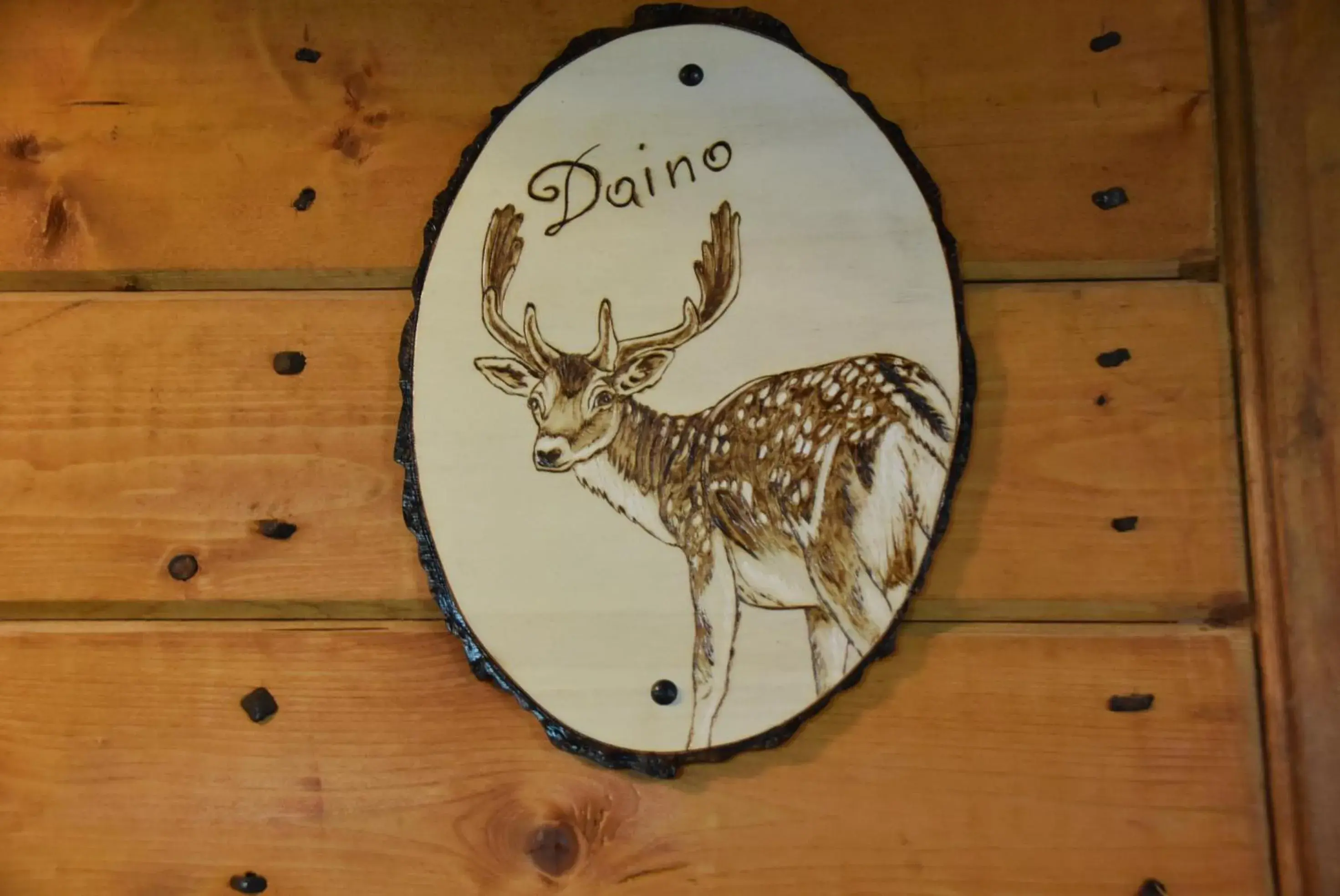 Junior Suite in Tenuta Torre Diana Junior Suite in Tenuta Torre Diana