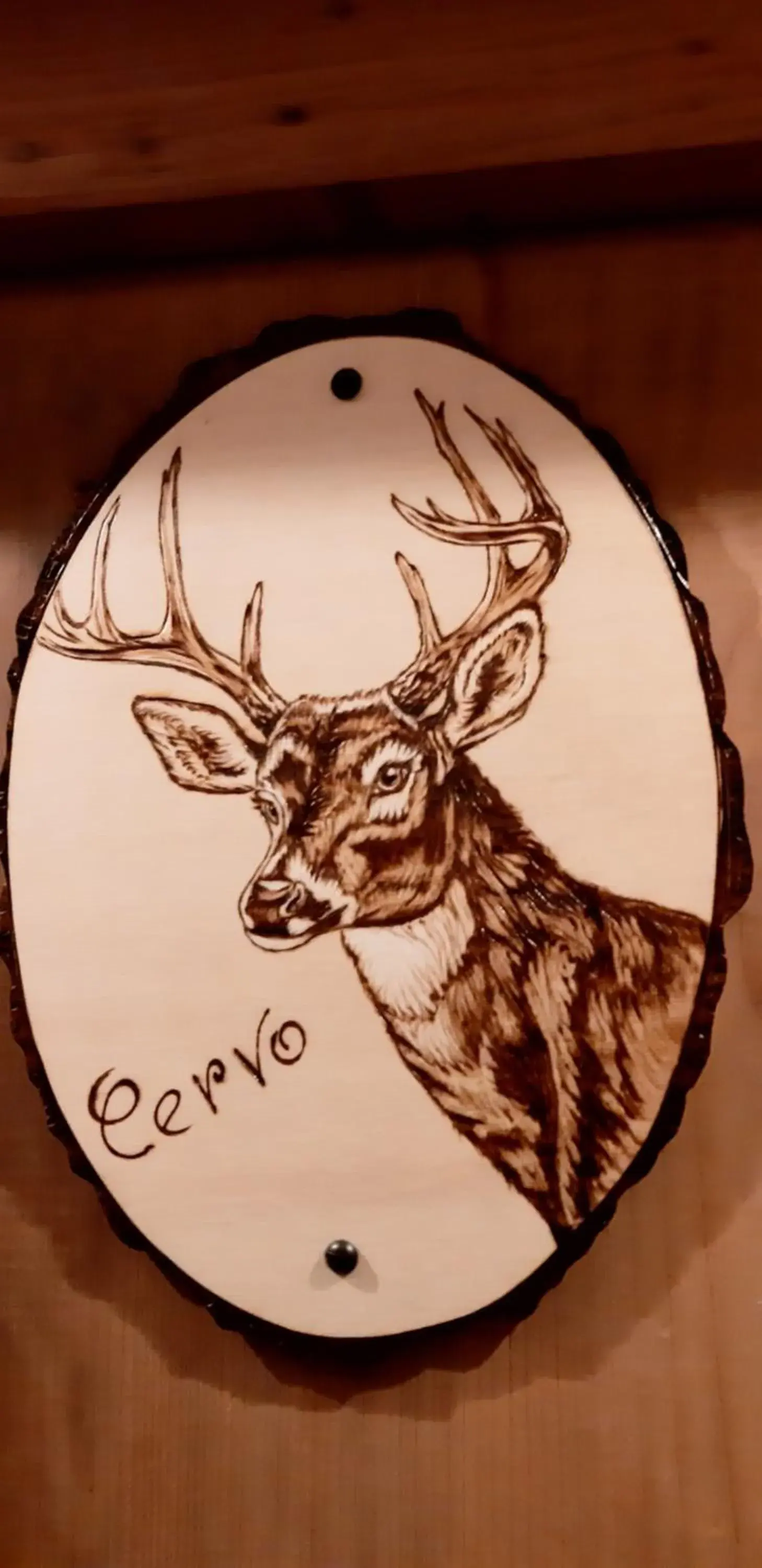 Single Room in Tenuta Torre Diana Single Room in Tenuta Torre Diana