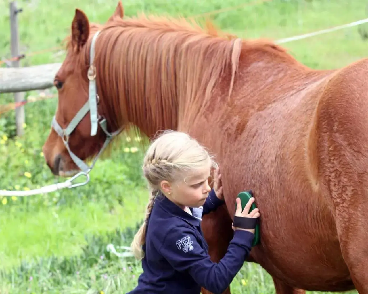 Quinta Pedagógica da Samoqueirinha - Duna Parque Resorts & Hotels Quinta Pedagógica da Samoqueirinha - Duna Parque Resorts & Hotels